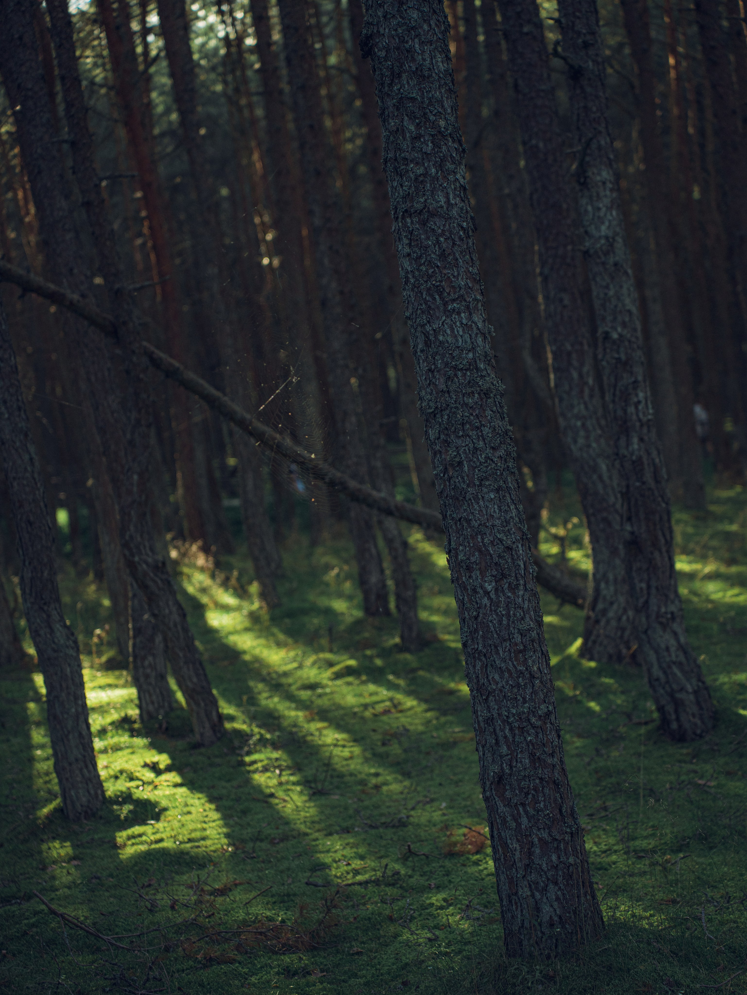 Калининградский трип друзей. Фотограф Мирослава Ряполова, Москва
