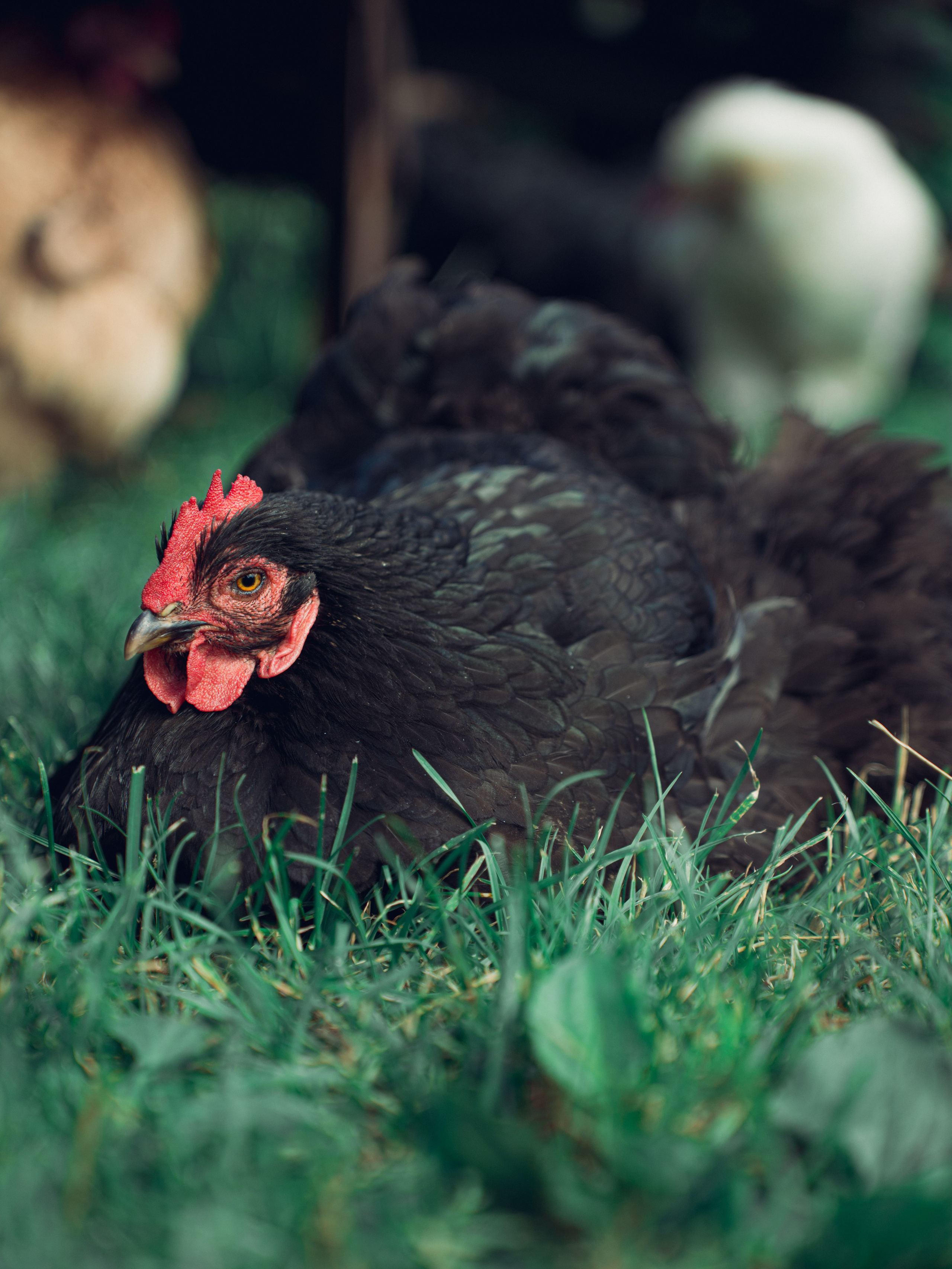 Калининградский трип друзей. Фотограф Мирослава Ряполова, Москва