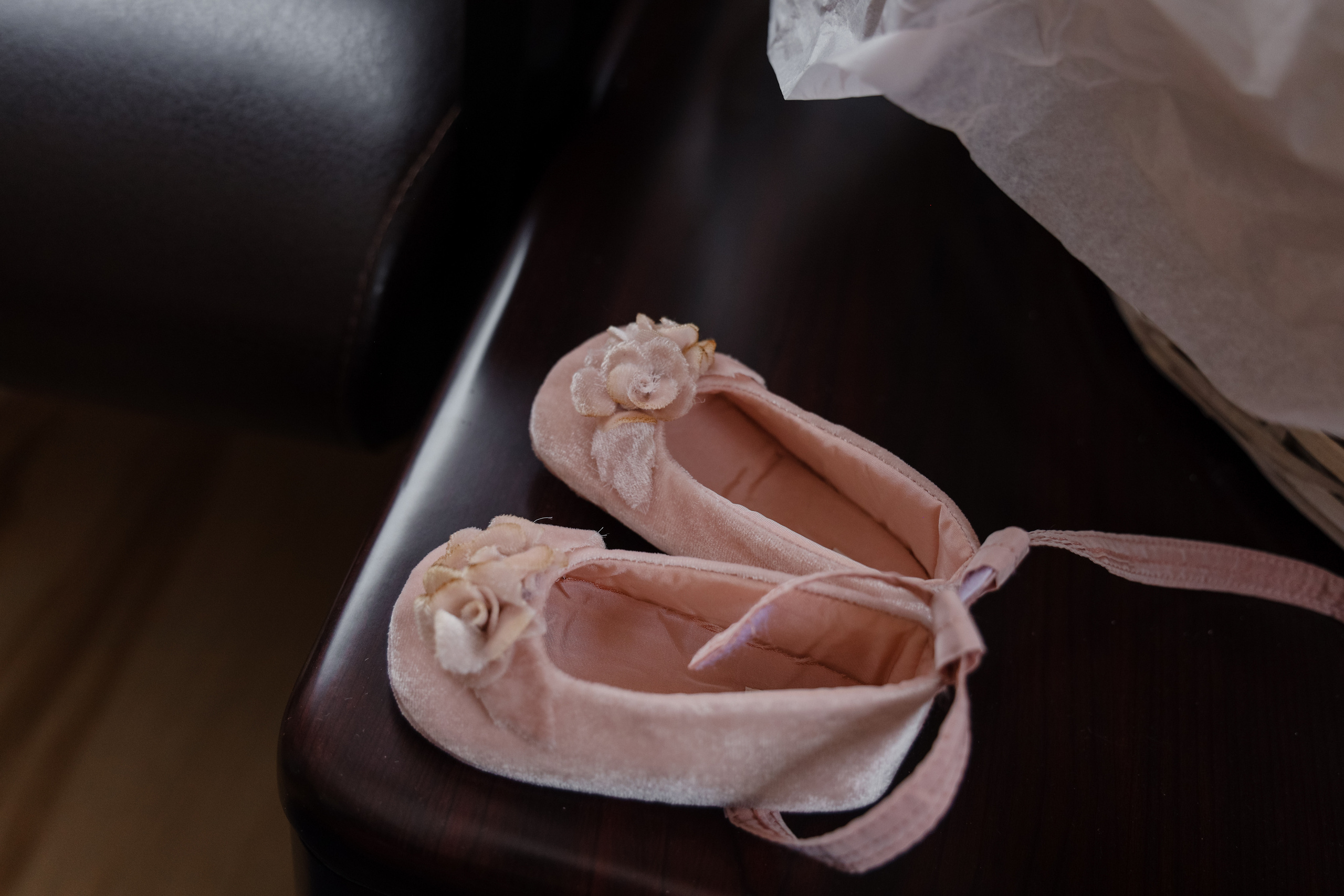 Маленькте маргаритки. Варвара Синицына: семейный фотограф в Москве