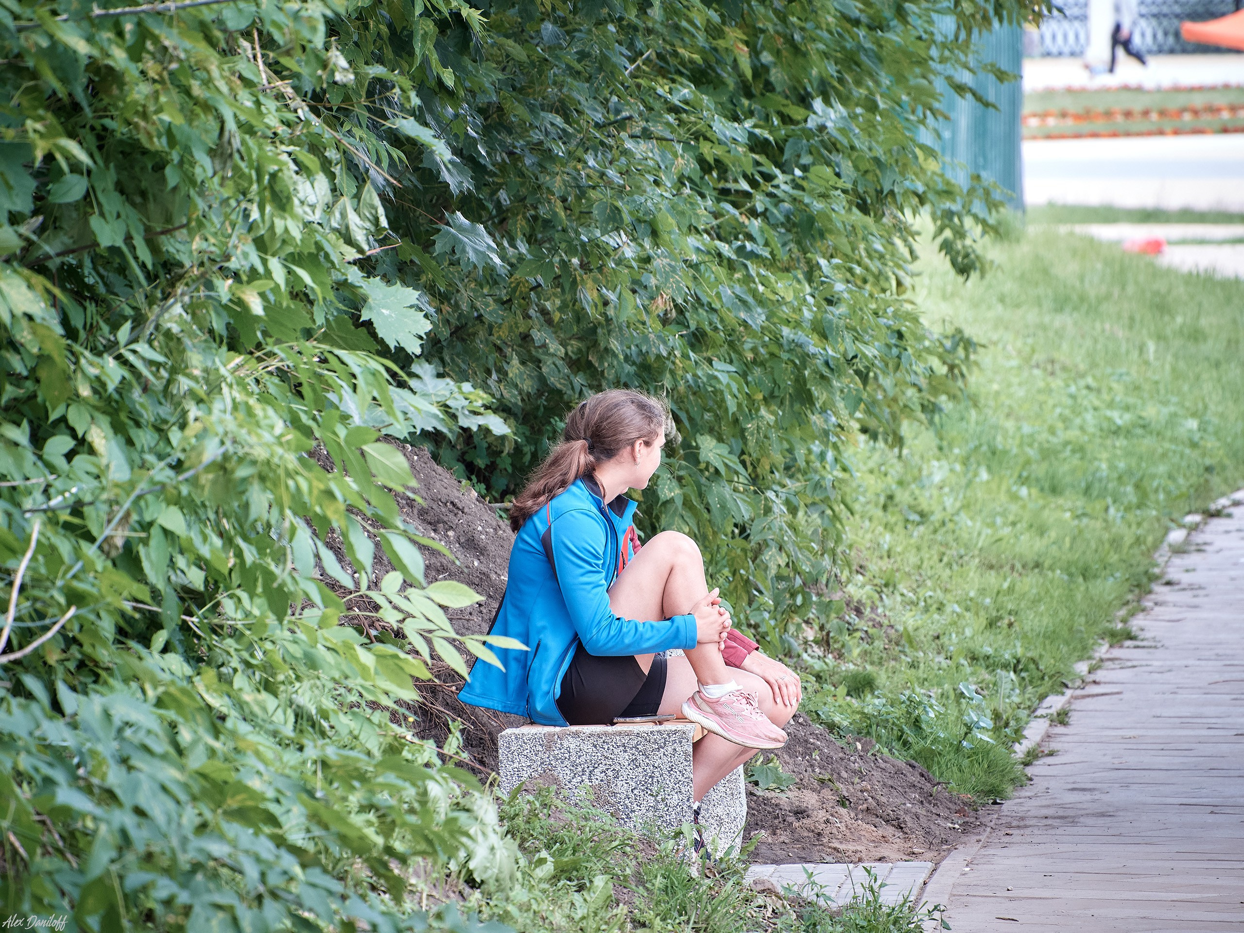 День семьи, любви и верности 2025. Муром-Инфо. Новости культуры, образования, спорта в городе Муром