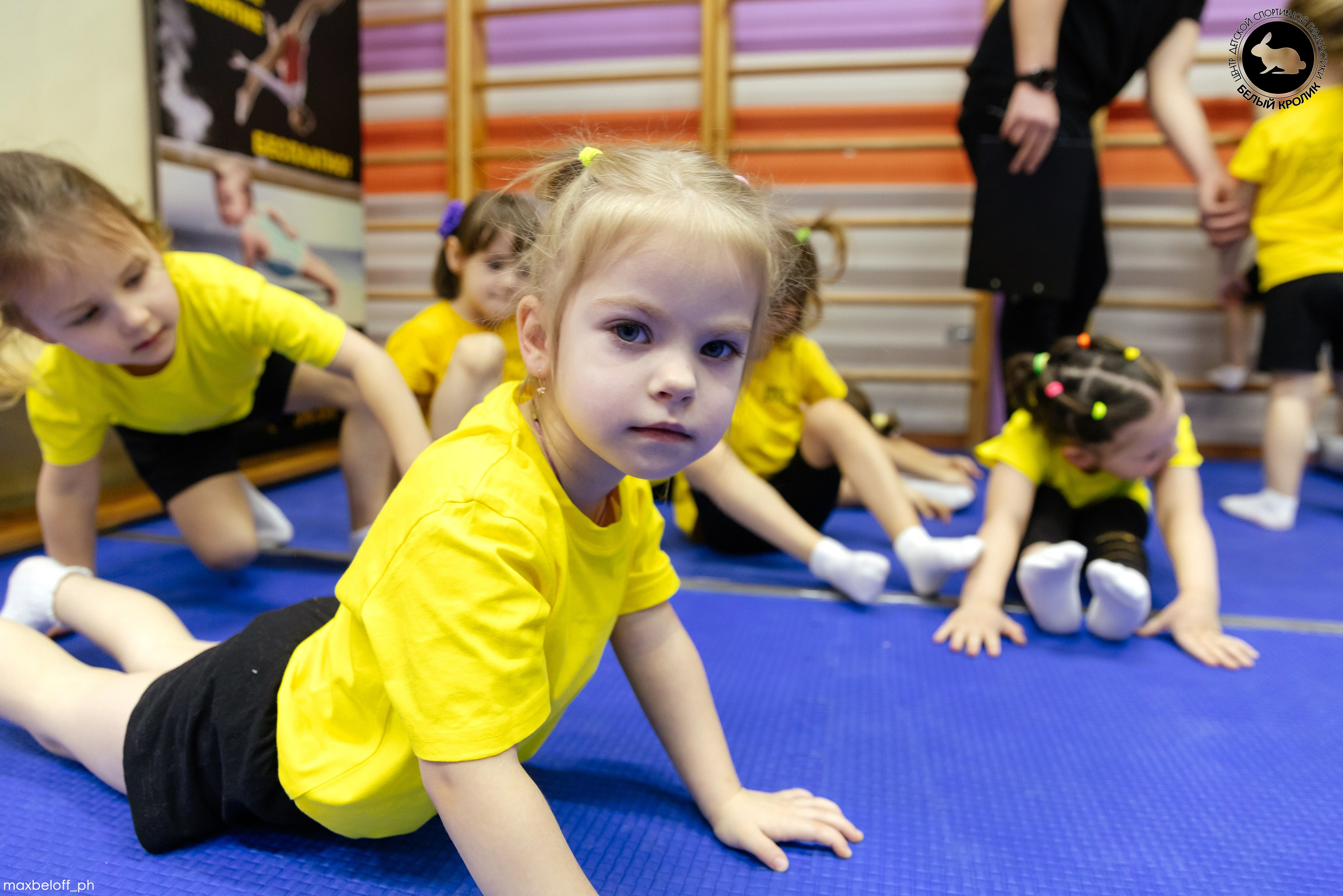 Белый кролик. Соревнования. Семейный фотограф — Макс Белогрудов