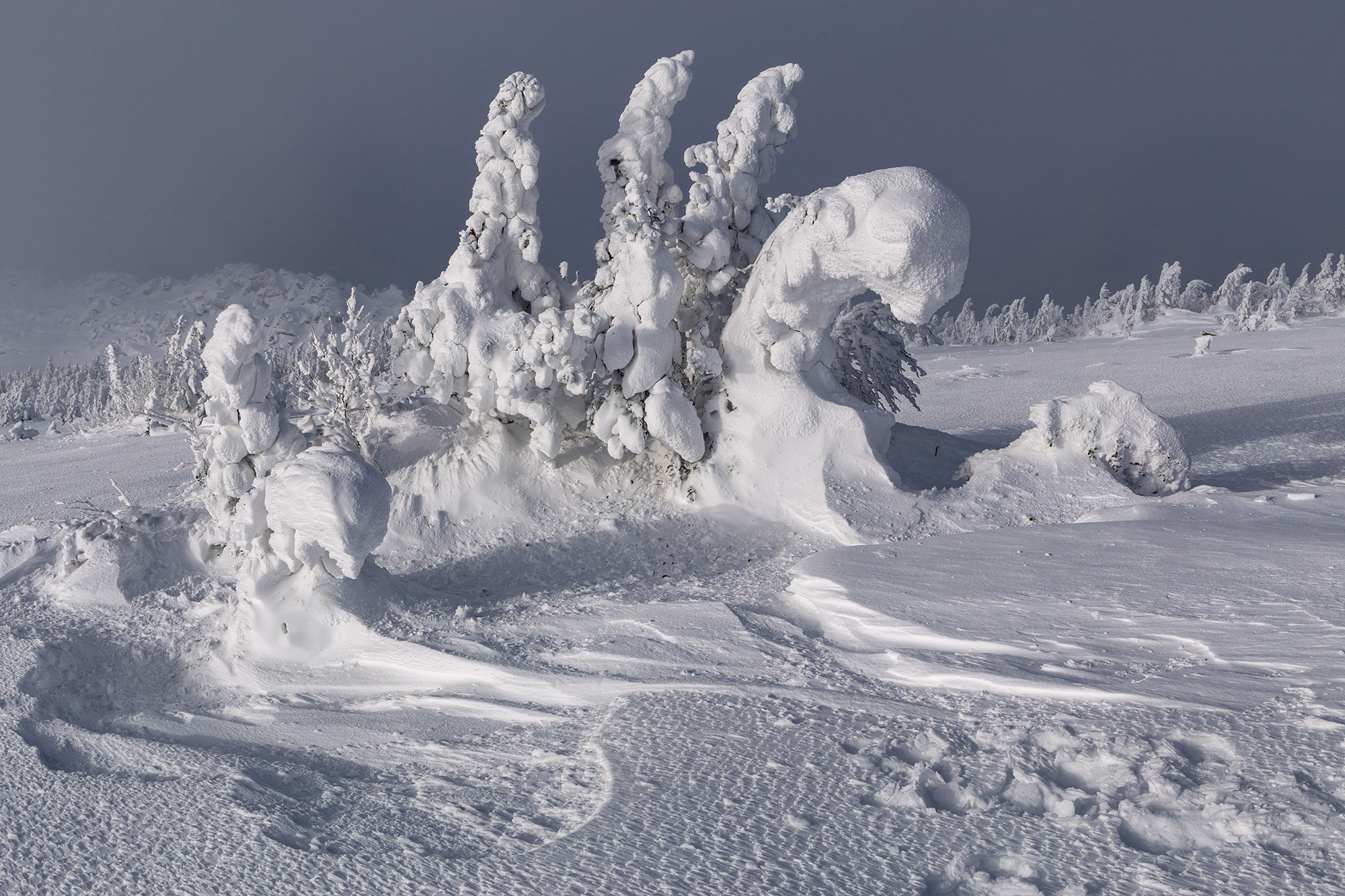 Таганай 2027 трекинг-фототур