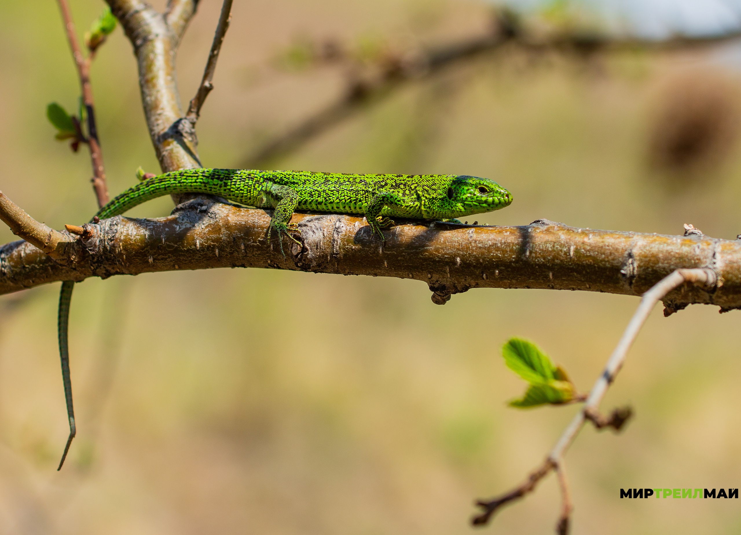Южный Урал. Авторские туры с профессиональным фотографом