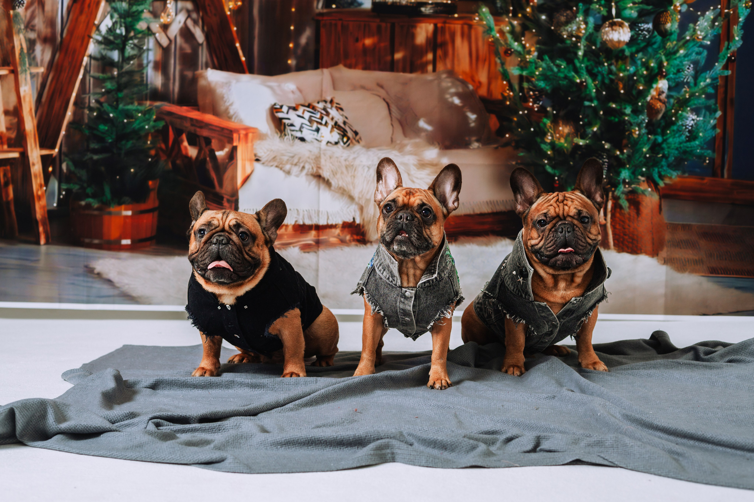 Бульвстреча 2025. Фотограф-анималист Татьяна Степанова