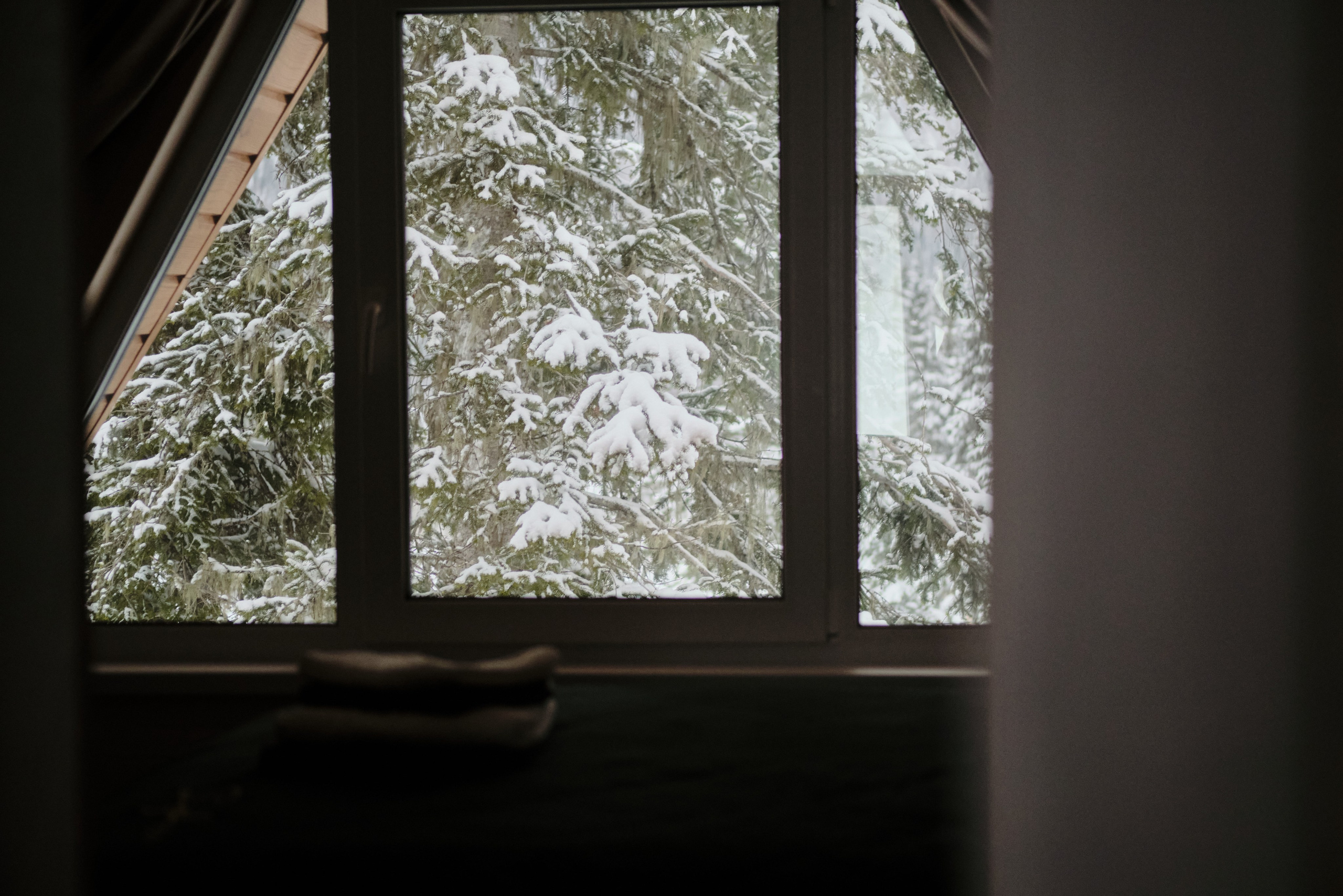 Ледовая 59 Дом 2 (Афрейм). Свадебный и семейный фотограф в Новокузнецке Иван Иванов