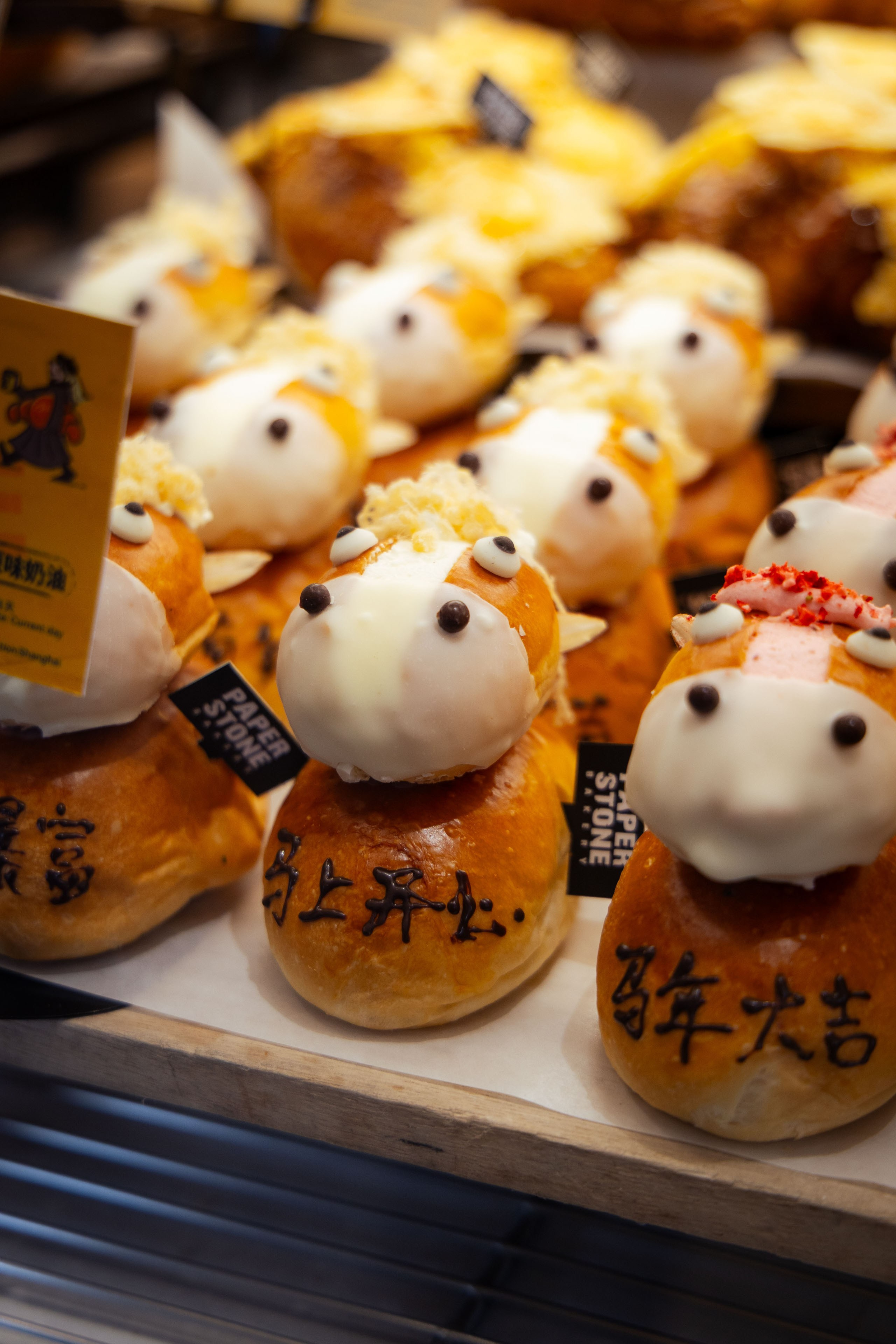 Шанхай (март 2026). Фотограф Виноградов Константин