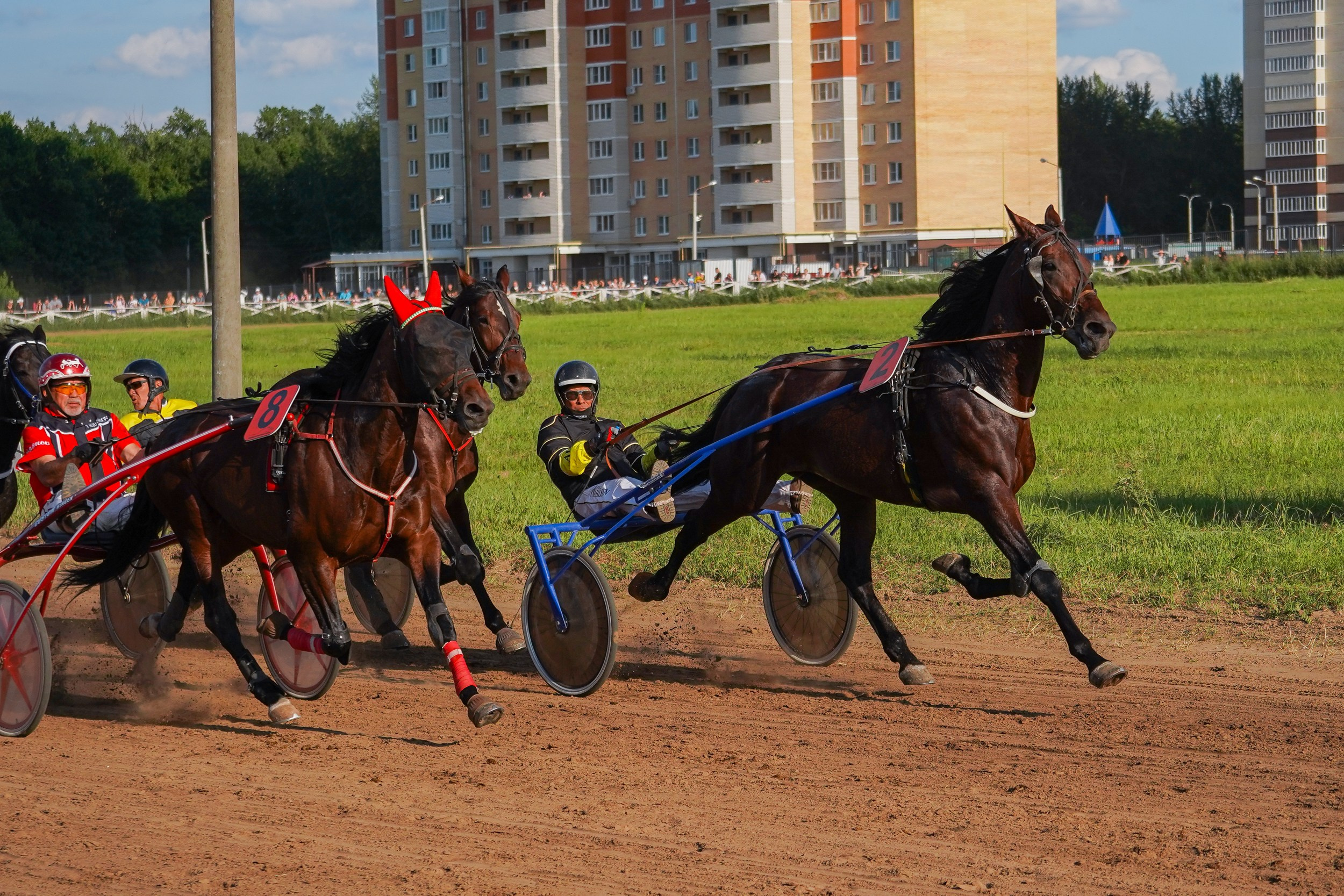 III конные бега на Кубок Главы Чувашии. Фотограф-анималист, портретный фотограф в Чебоксарах Мария Садыкова