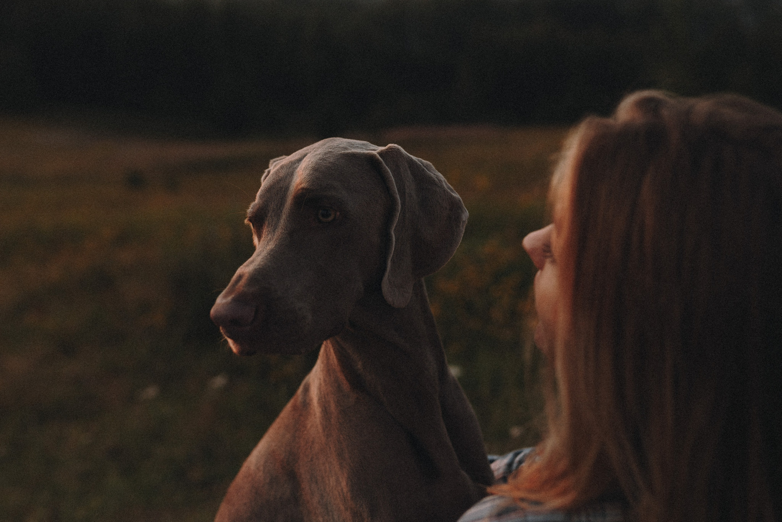 Юля и Эспен. Фотограф анималист Осипчикова Мария