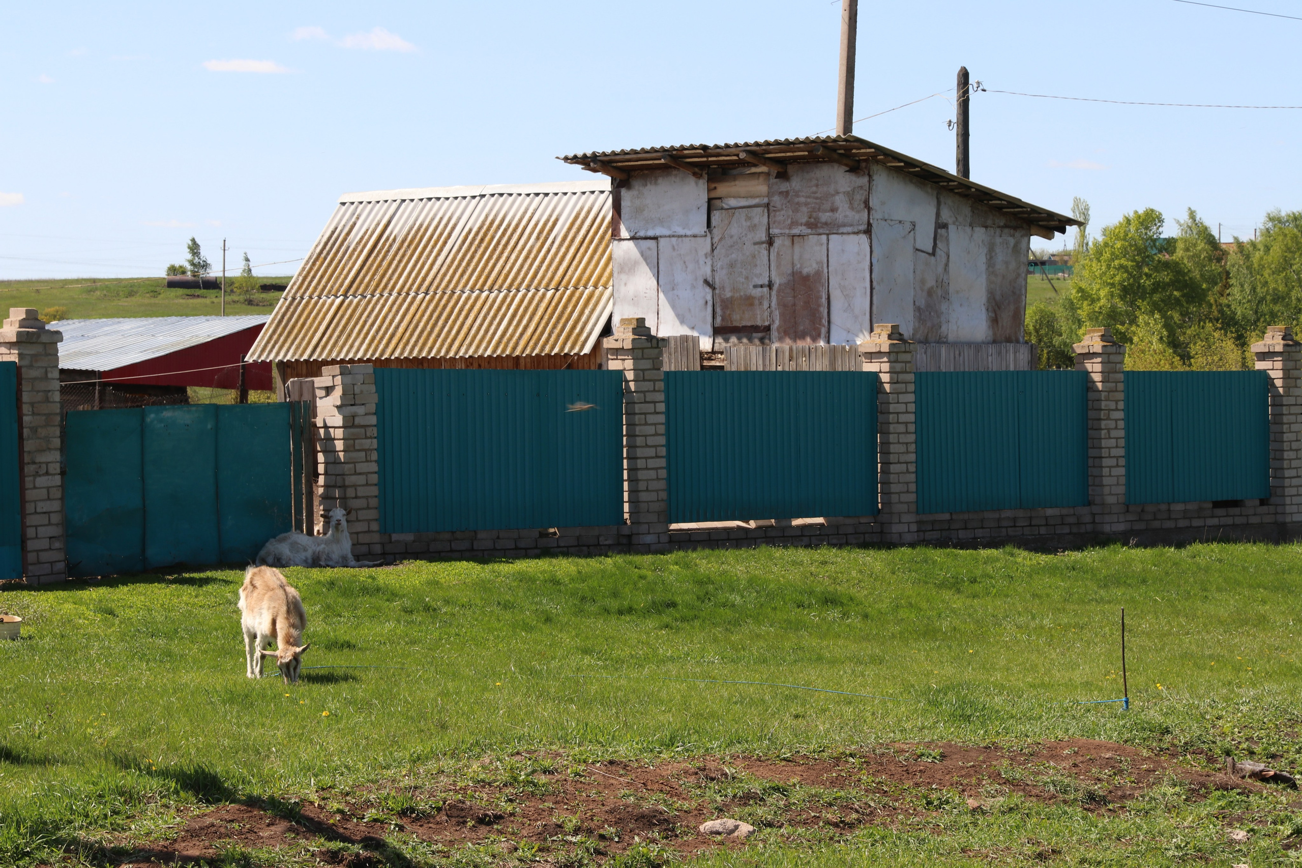 Велопоход Уфа — Мелеуз. Май 2024. Путешественник-фотограф из Санкт-Петербурга Татьяна Свистулина