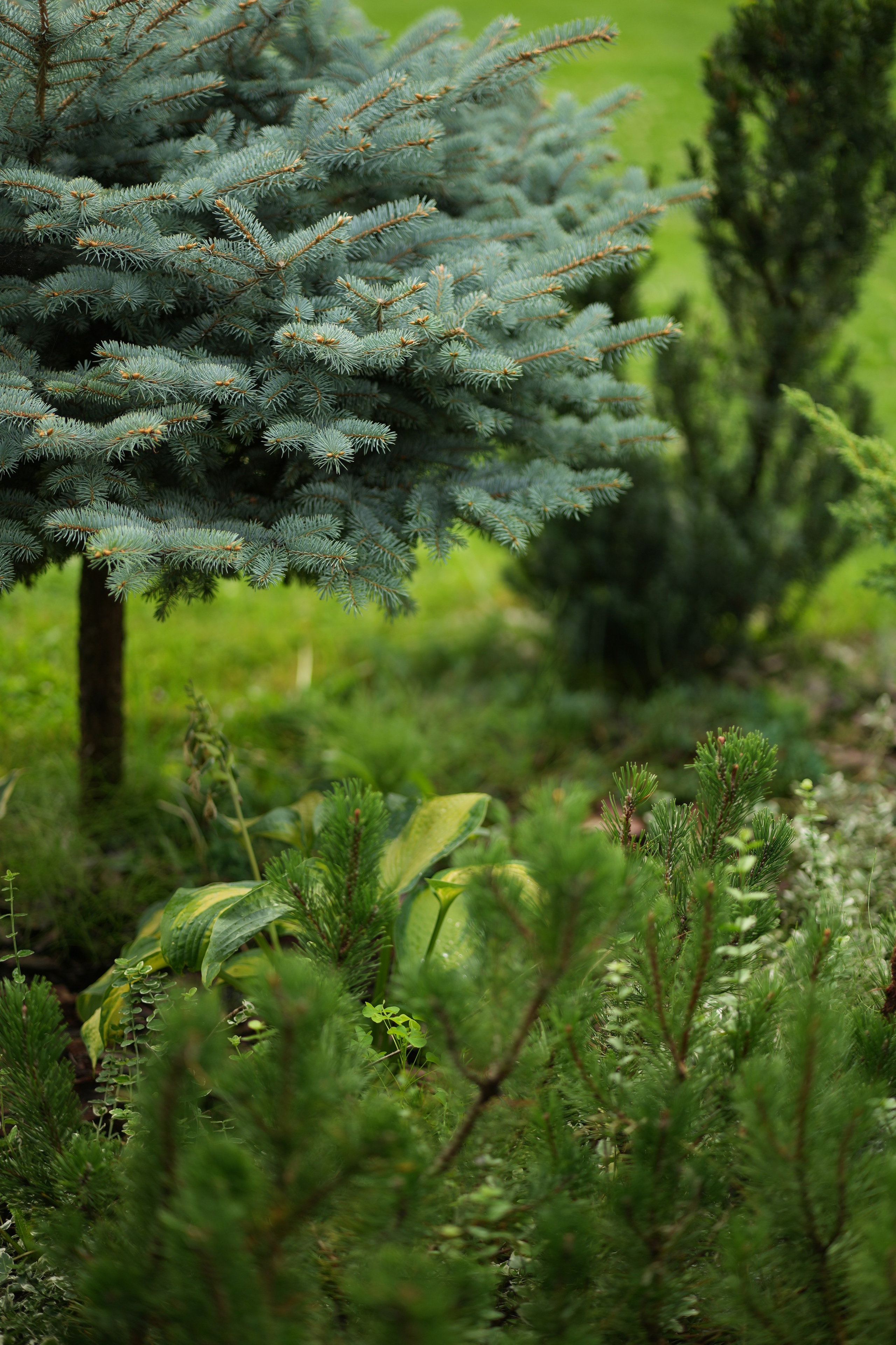 Час 1500 пример фотосессии пакет «ФОТО НА ПАМЯТЬ» (без обработки). Фотограф Нижний Новгород Татьяна Кэйод