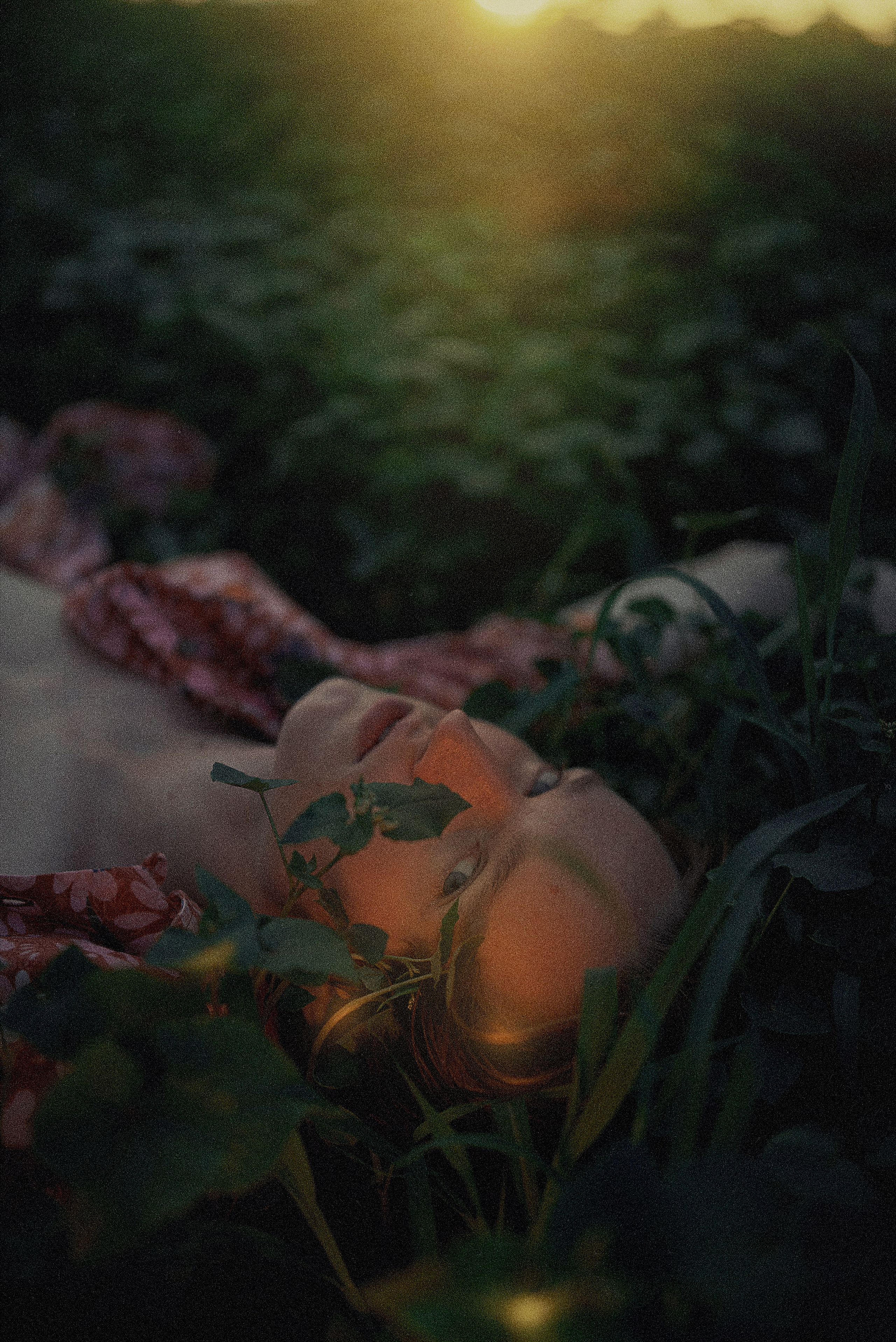 Игорь в гороховом поле. Антон Арнольд | Фотограф Минск