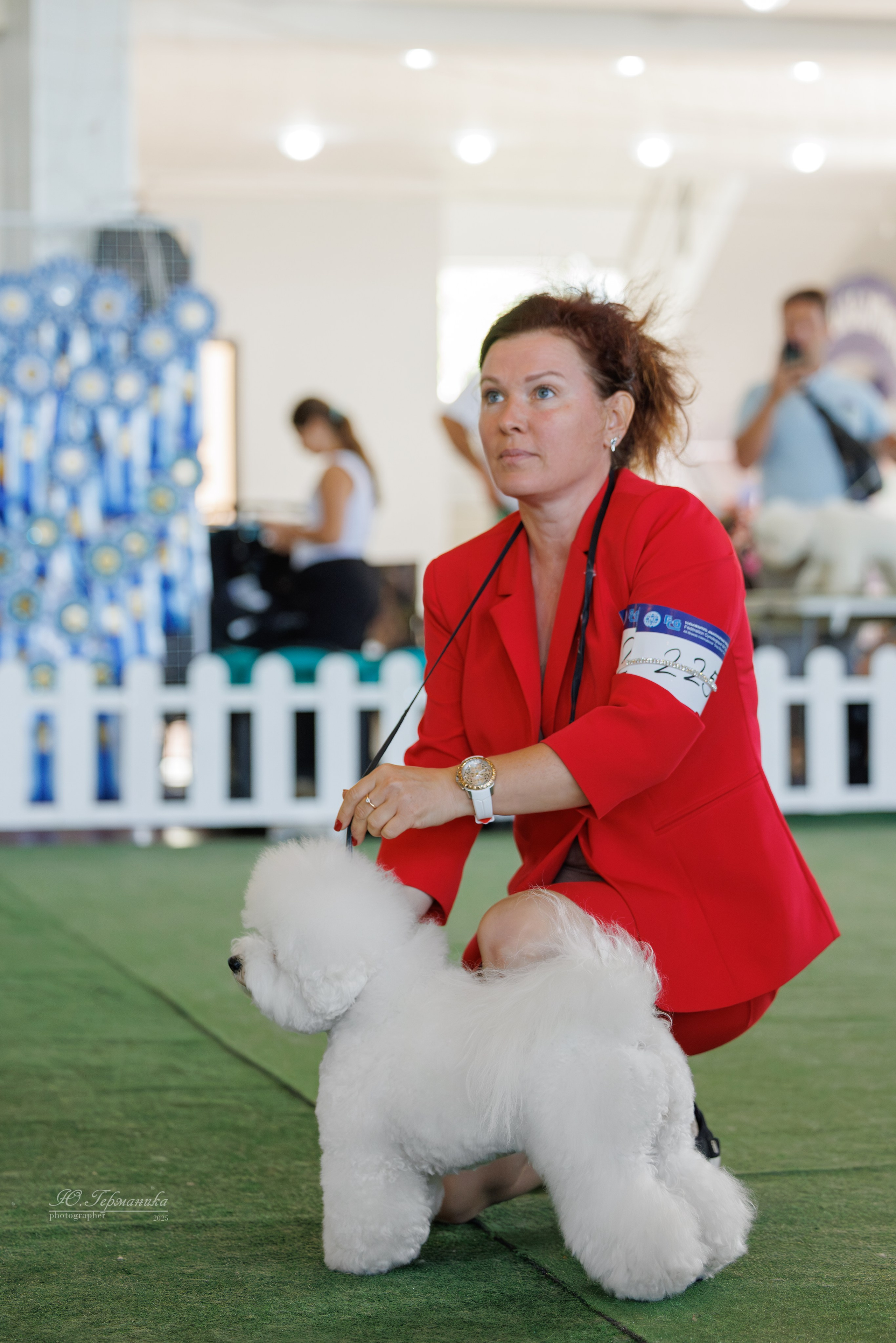 Батуми 3хCACIB 27-29.06.2025. Фотограф-анималист Юлия Германика