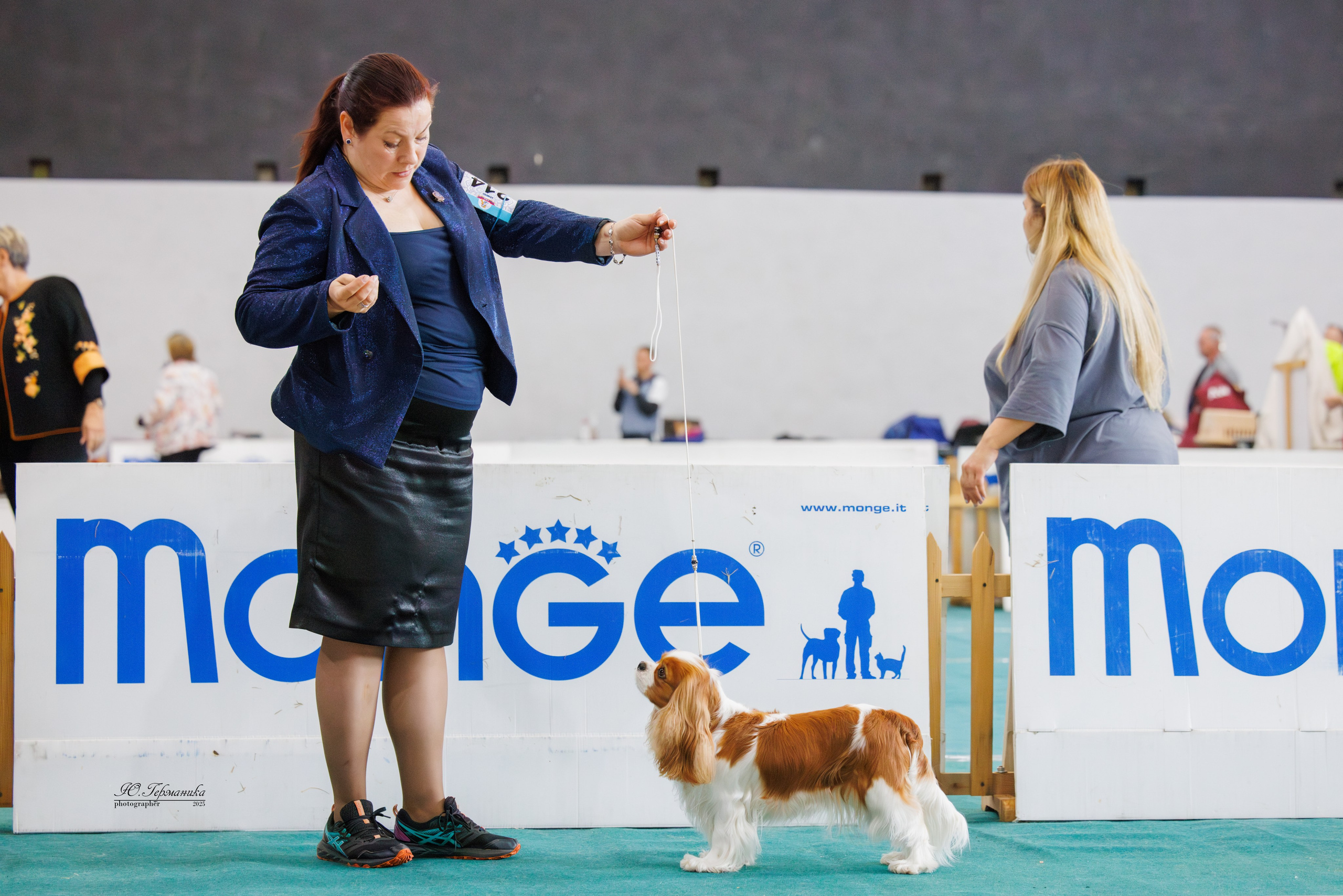 Ереван 2х CACIB 29-30.04.2025. Фотограф-анималист Юлия Германика