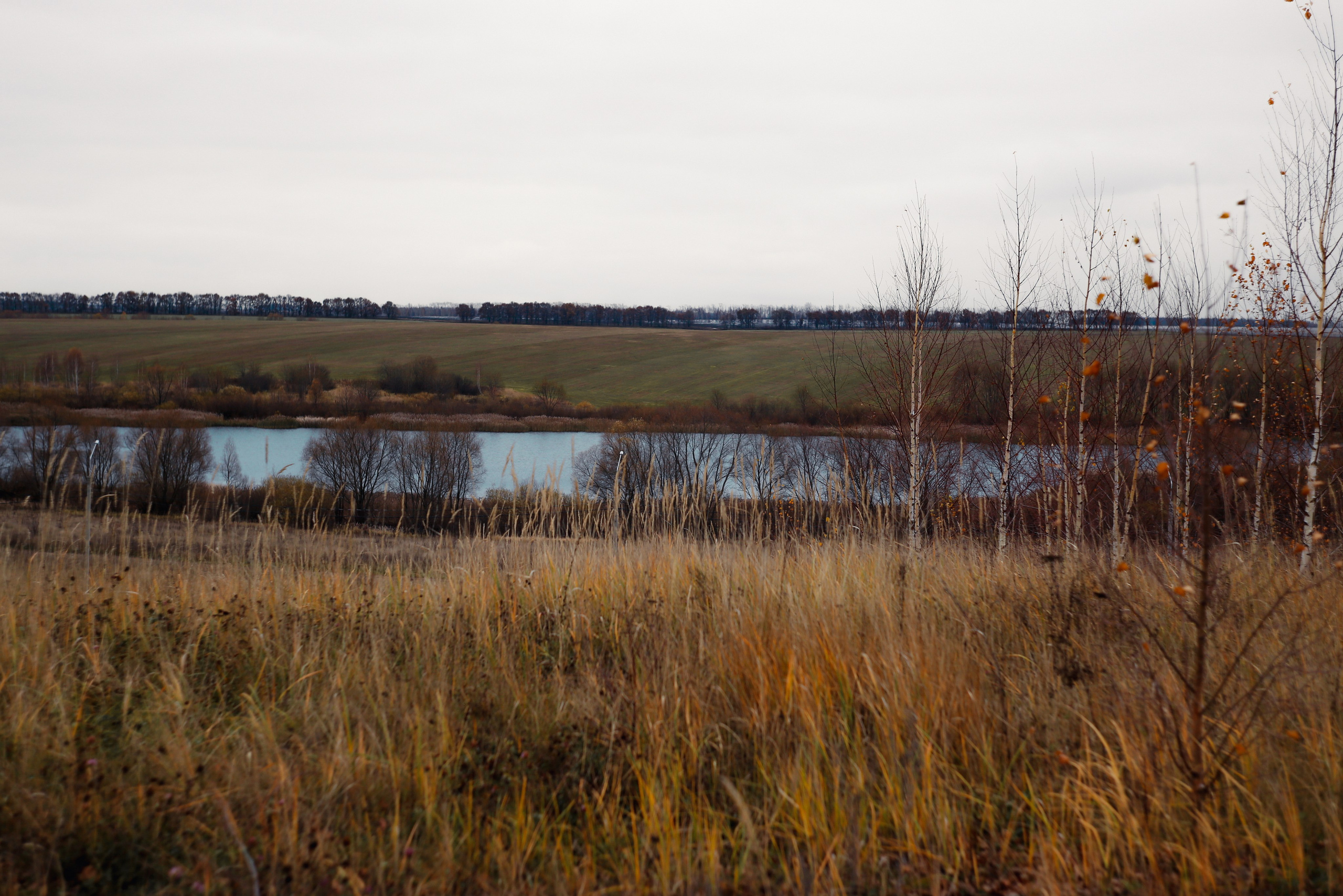 Ноябрь 2022. Efremovaphoto.ru