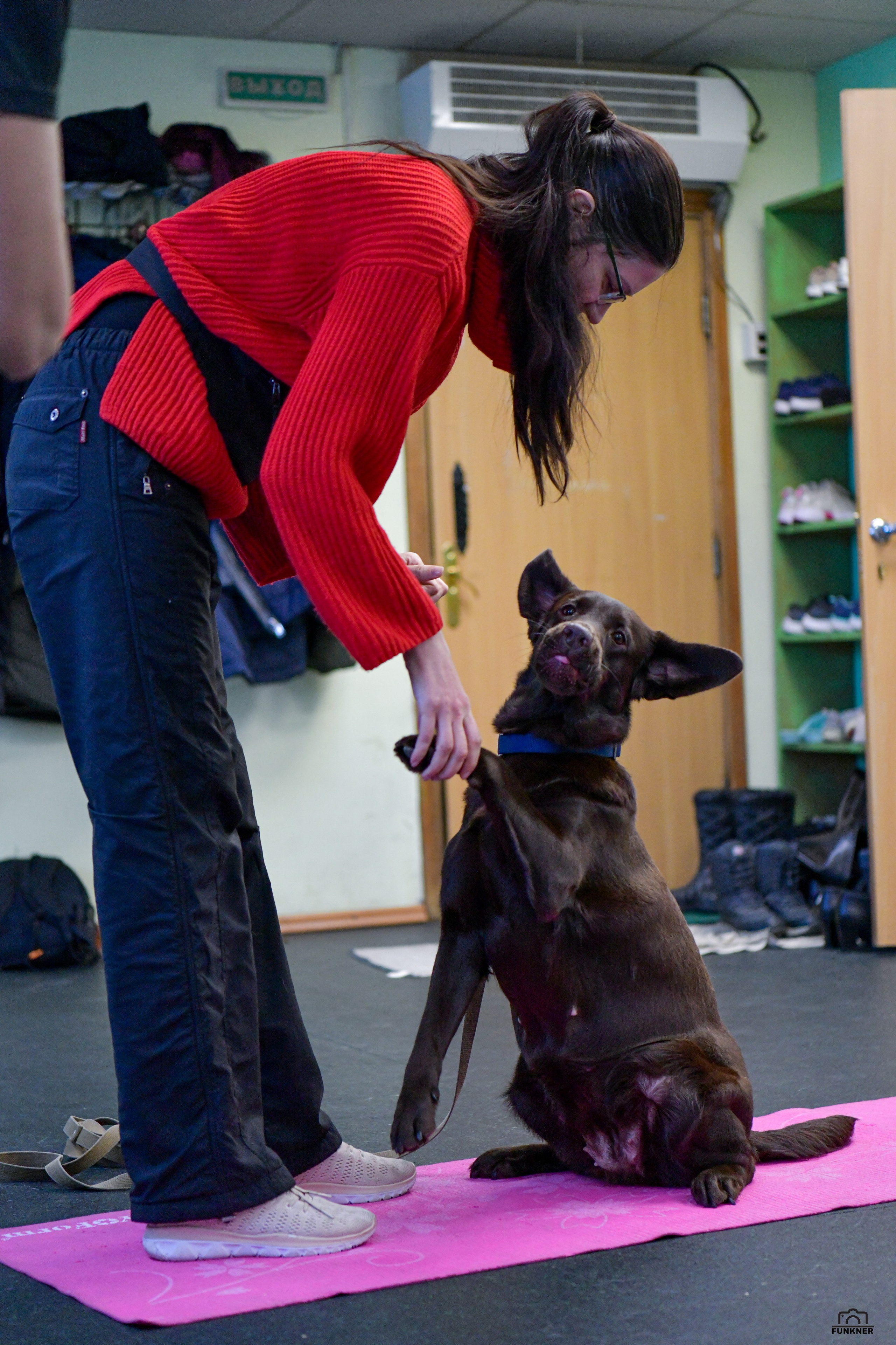 Кинологический клуб «Бодрый хвост». Свой взгляд через объектив