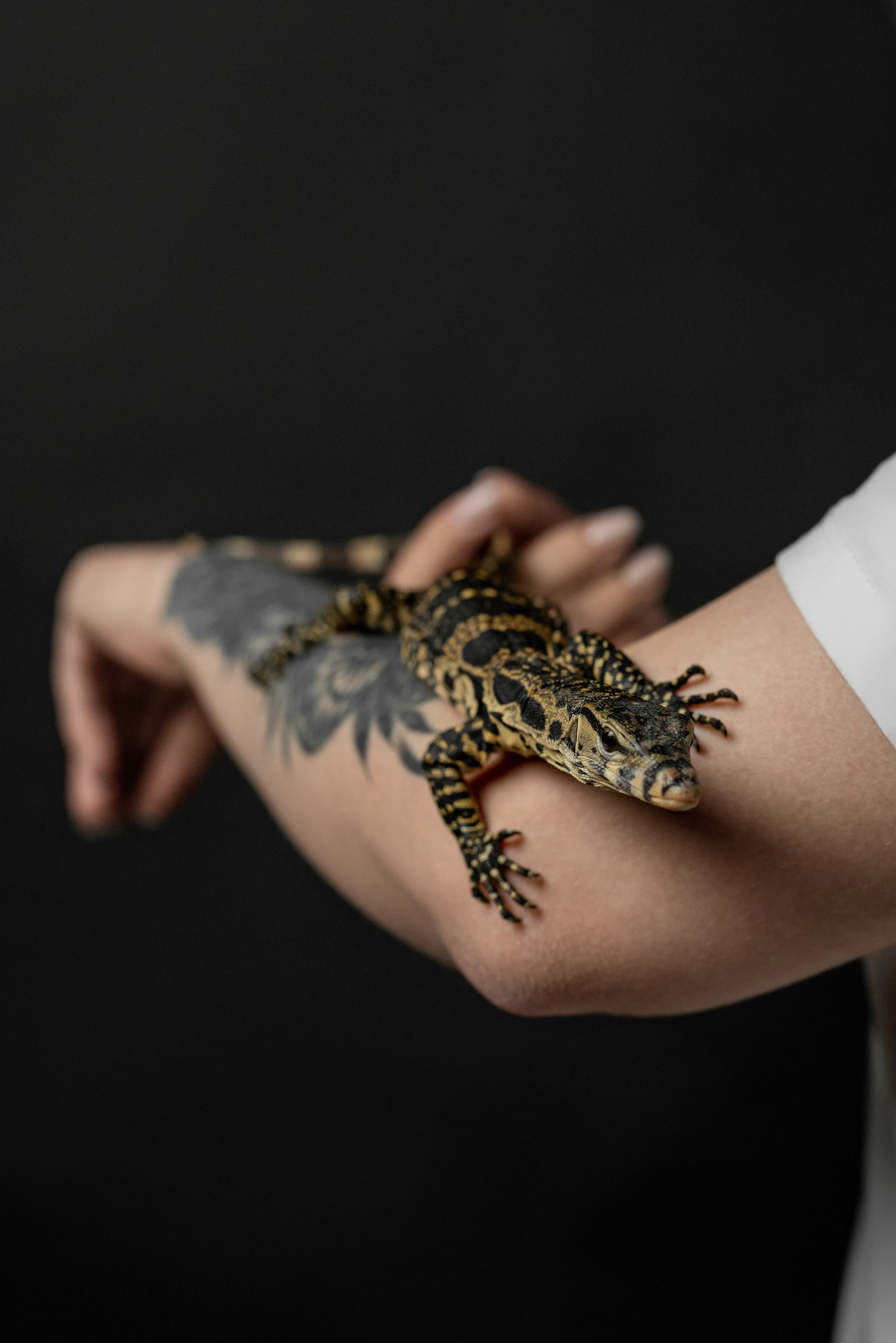 Кристина. Фотограф в городе Салават