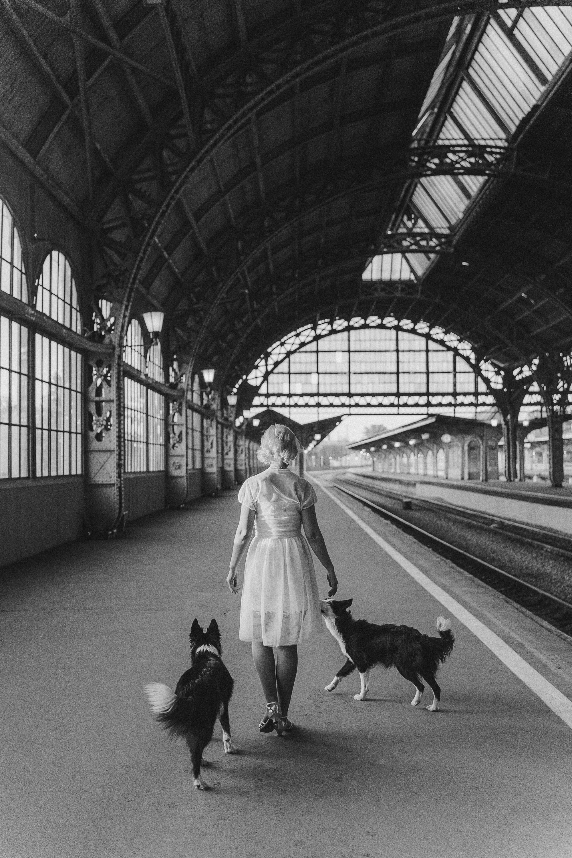 Таня, Марта и Клипса. Фотограф анималист в Москве и Санкт-Петербурге Свиридова Анна