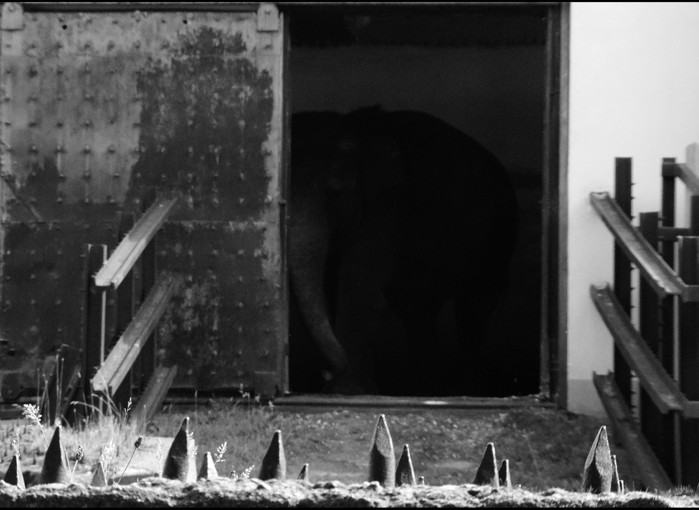 ПРЕГОЛЯ НЕ РЕКА. Художественная группа «Нежные Бабы»