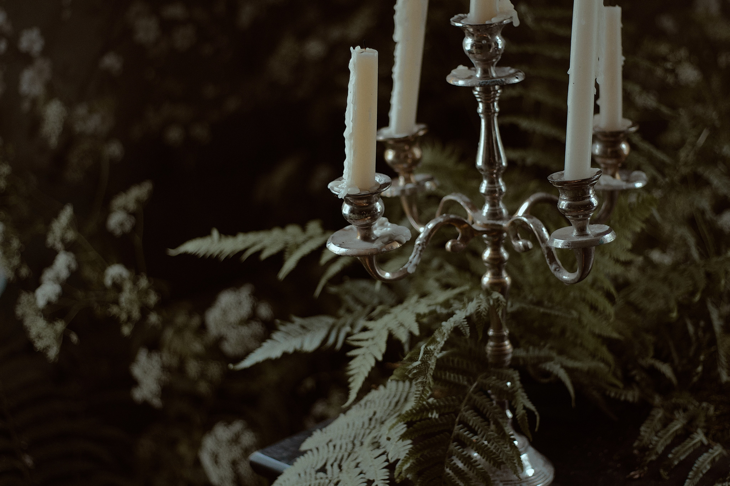 Люпин. Фотограф лавстори Москва/МО Приятелева Ангелина