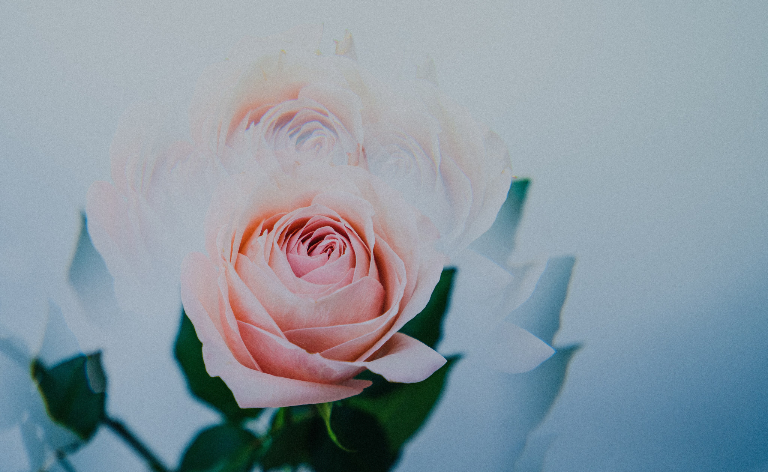 Товары. Фотограф Алиса Аспер