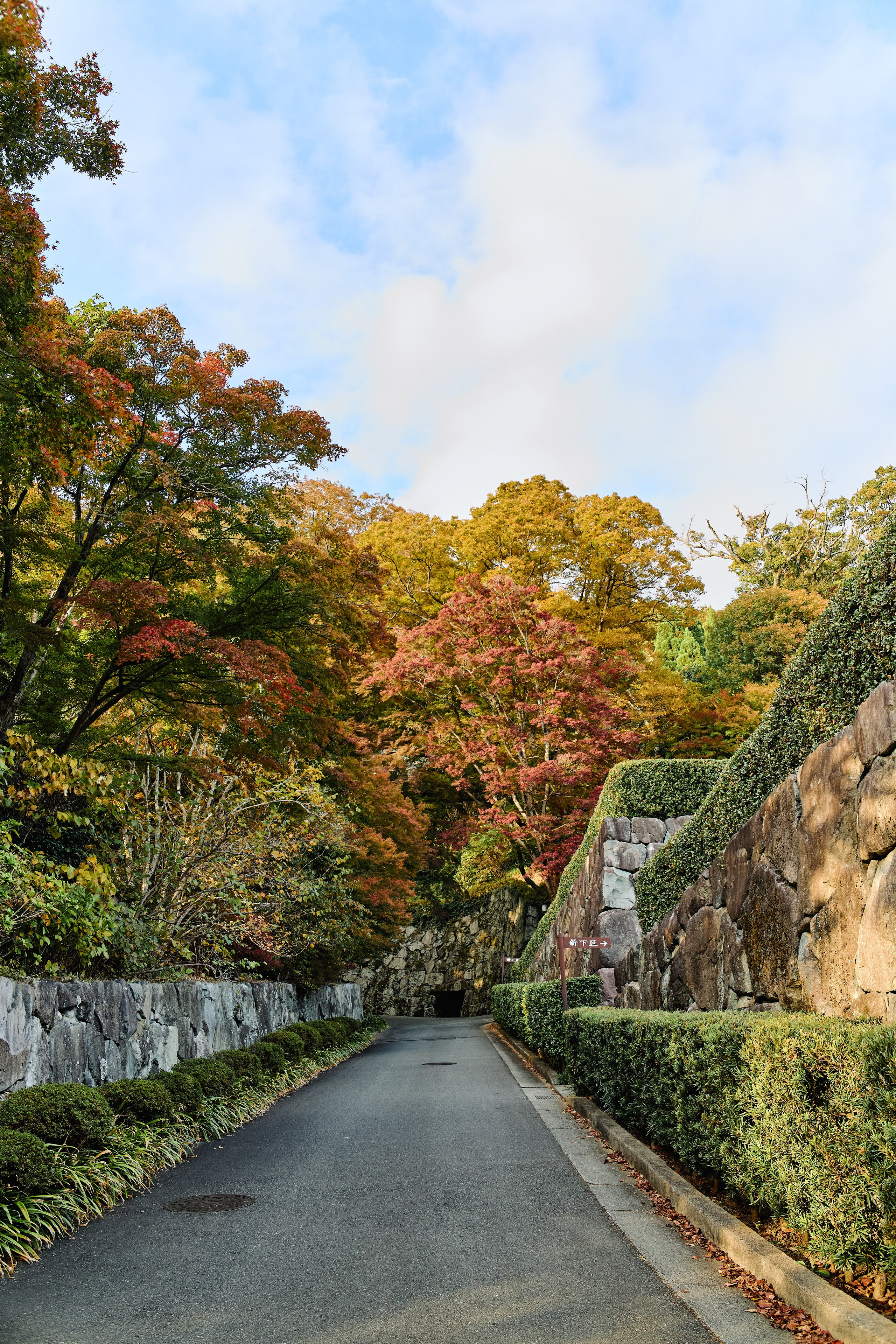 Япония. Профессиональный Фотограф во Владимире, в Москве и в Суздале — Полина Романычева