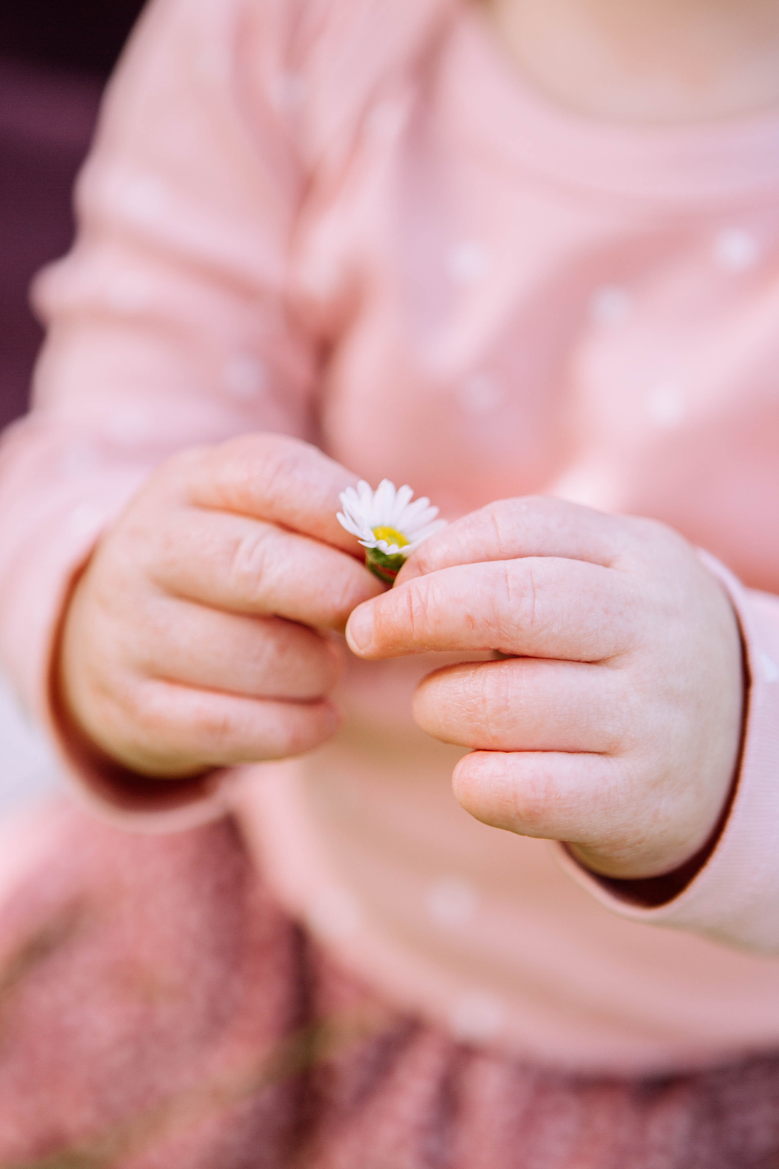 На даче. Фотограф Александра Кузнецова