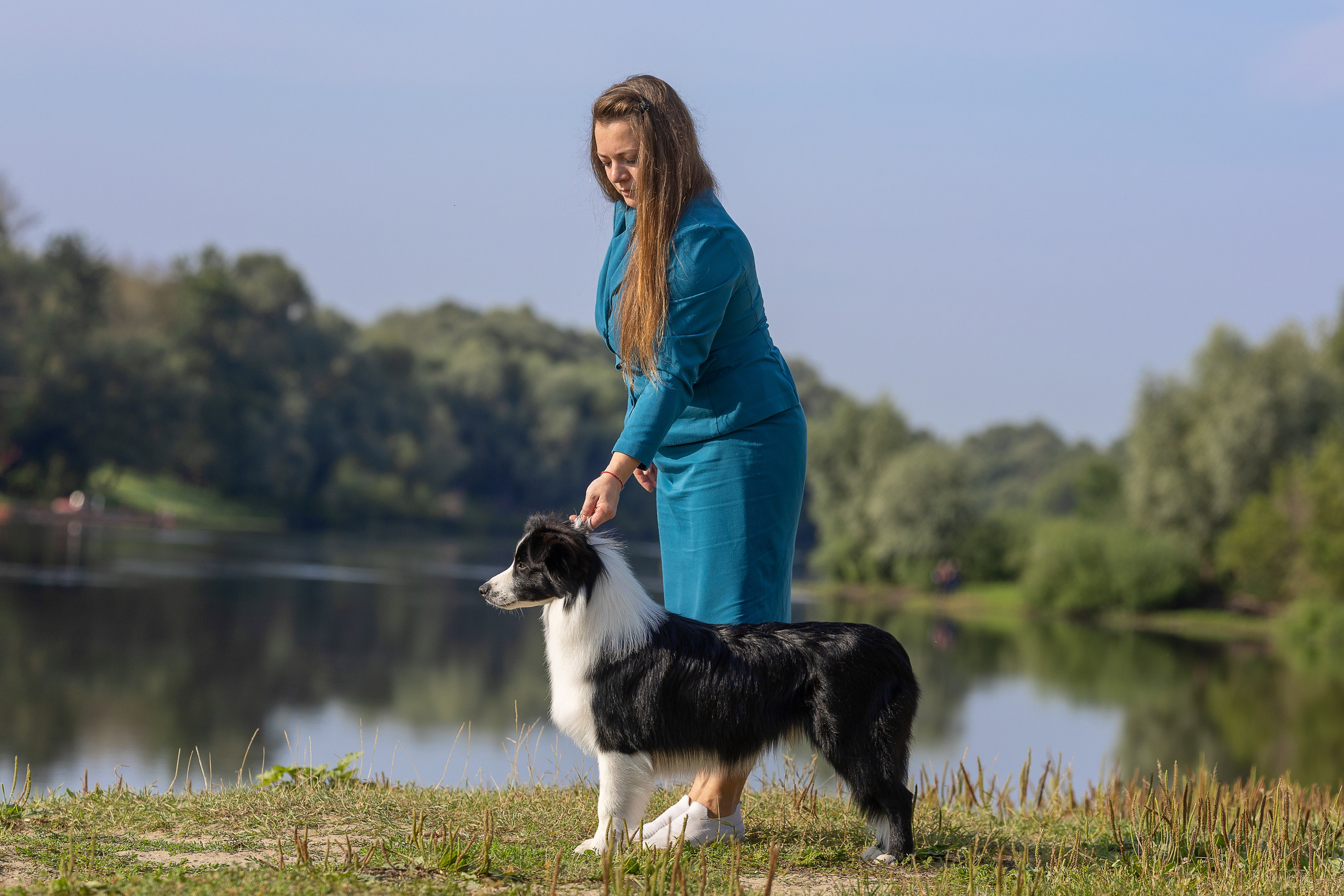 Фотосессия Перса и Дизеля. Купить щенка Вельш-корги-кардиган в семейном питомнике — Ice Fantasy
