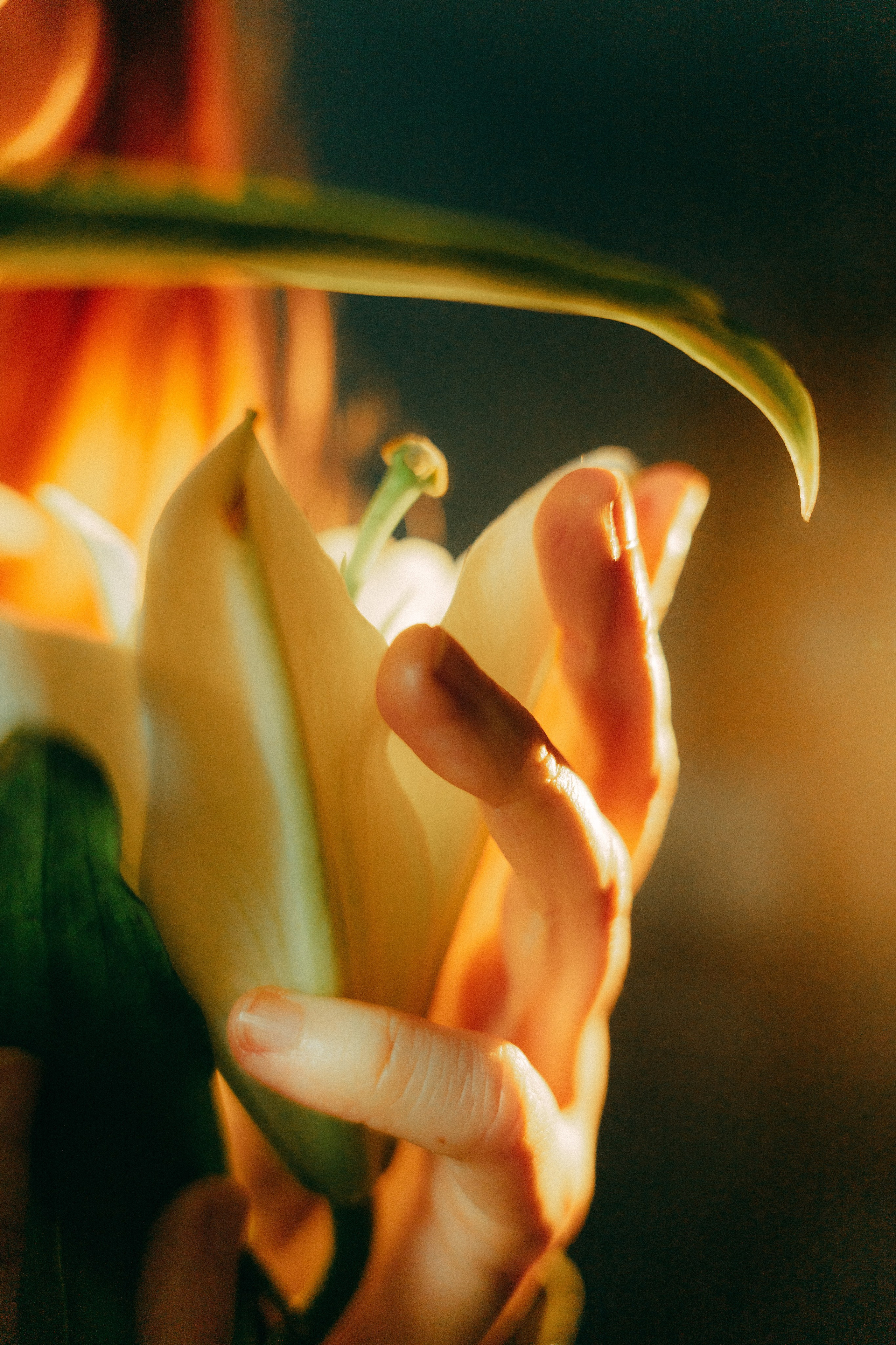 Портрет. Фотограф Москва