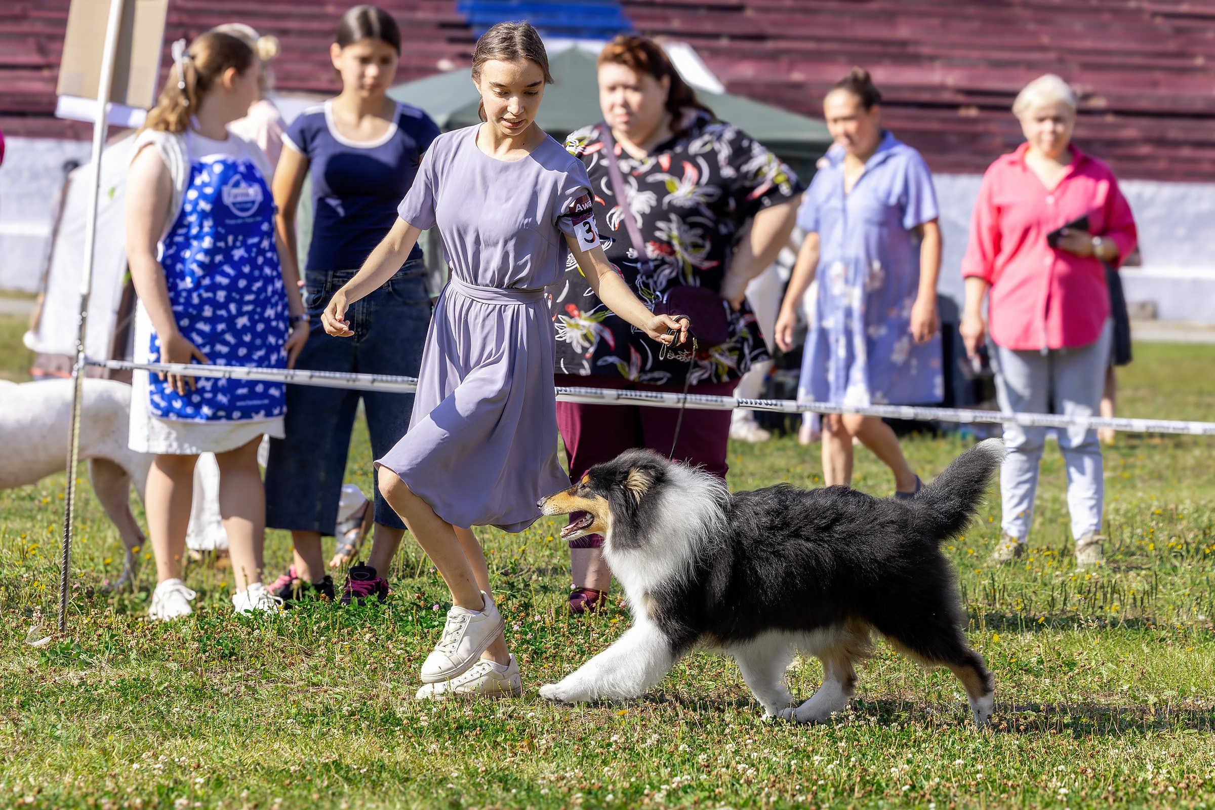 2–3 августа 2025, Выставка РКФ, г. Пермь. Htykk_photo