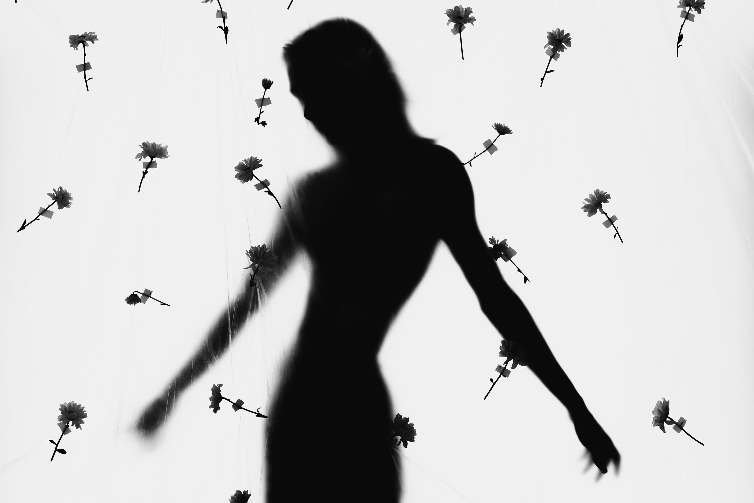 ROBERT. Фотограф