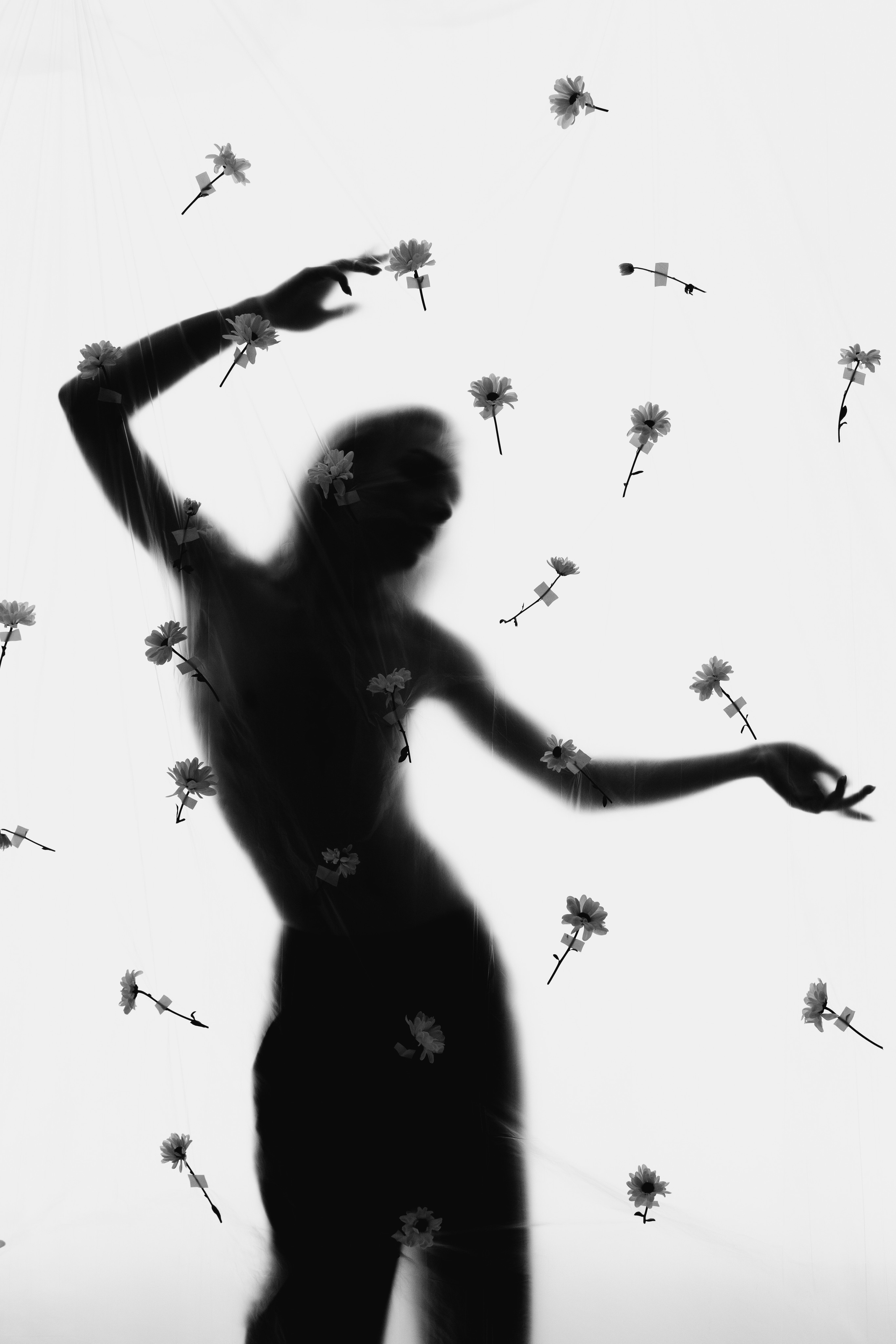 ROBERT. Фотограф