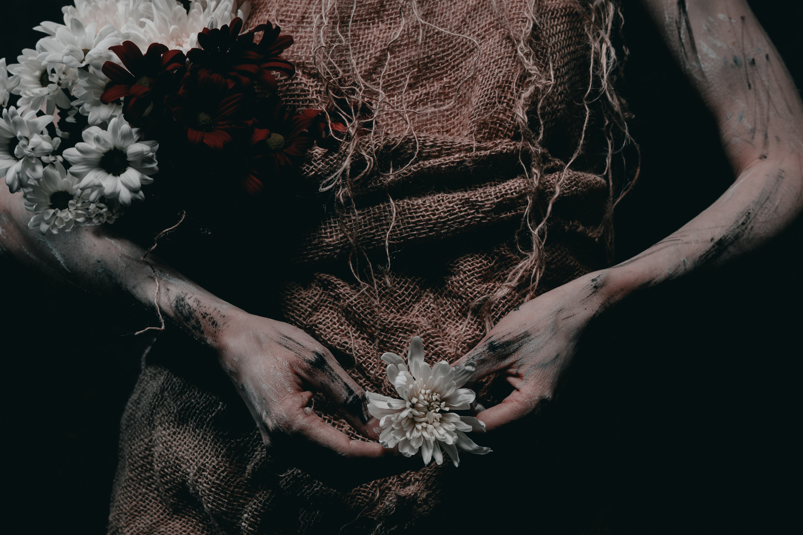 EVGENIA BEREZINA. Фотограф