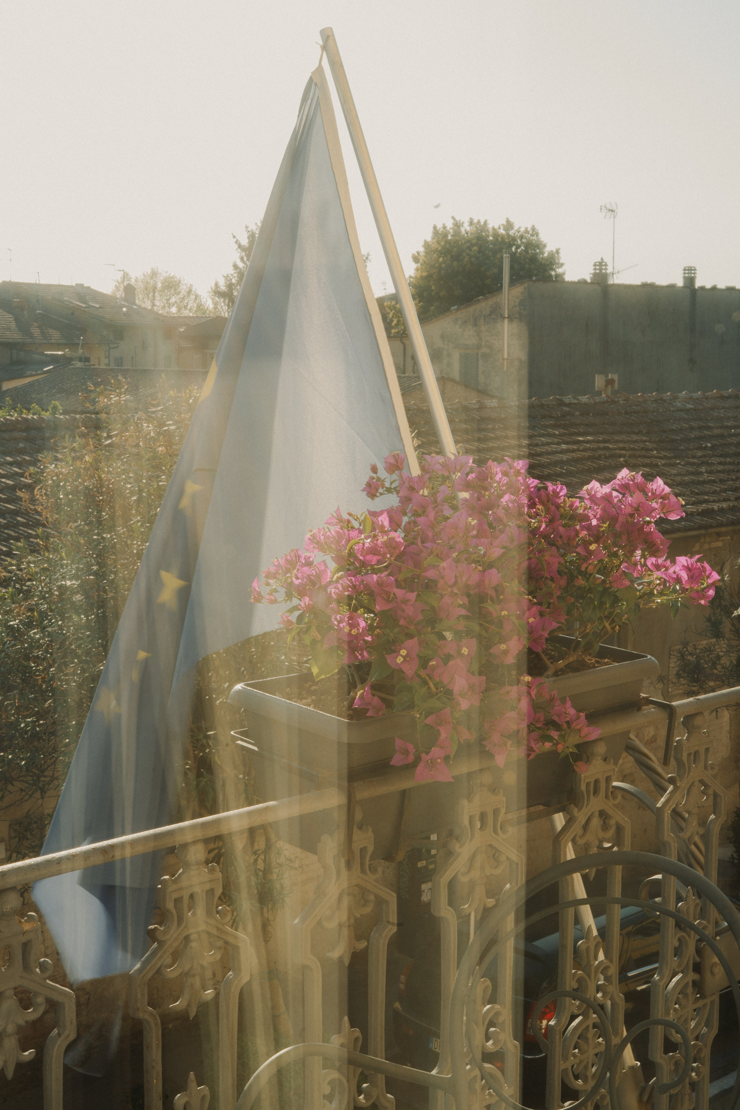 Palazzo Guiscardo | Pietrasanta