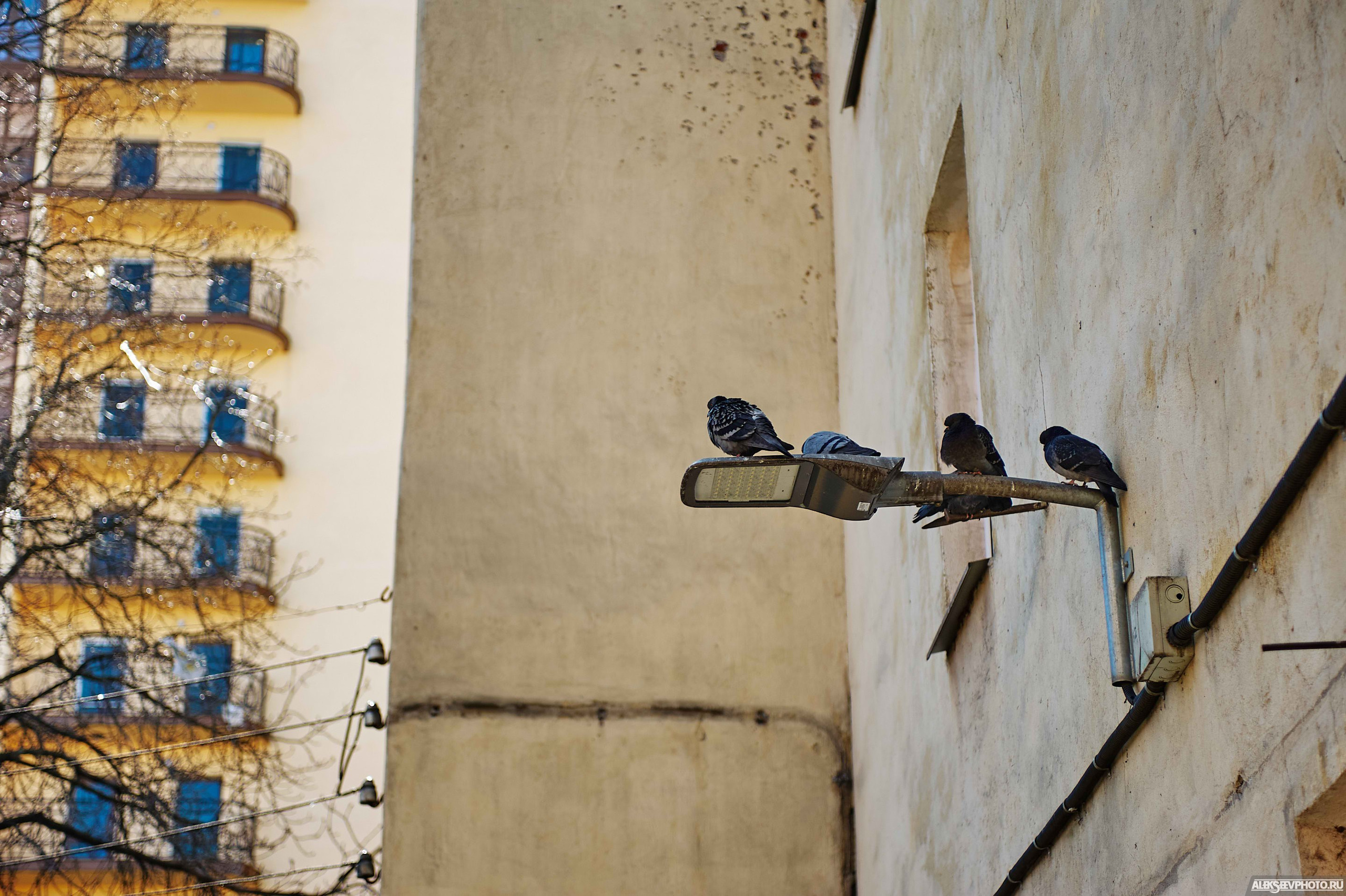 2021.04. Фотограф Алексей Алексеев