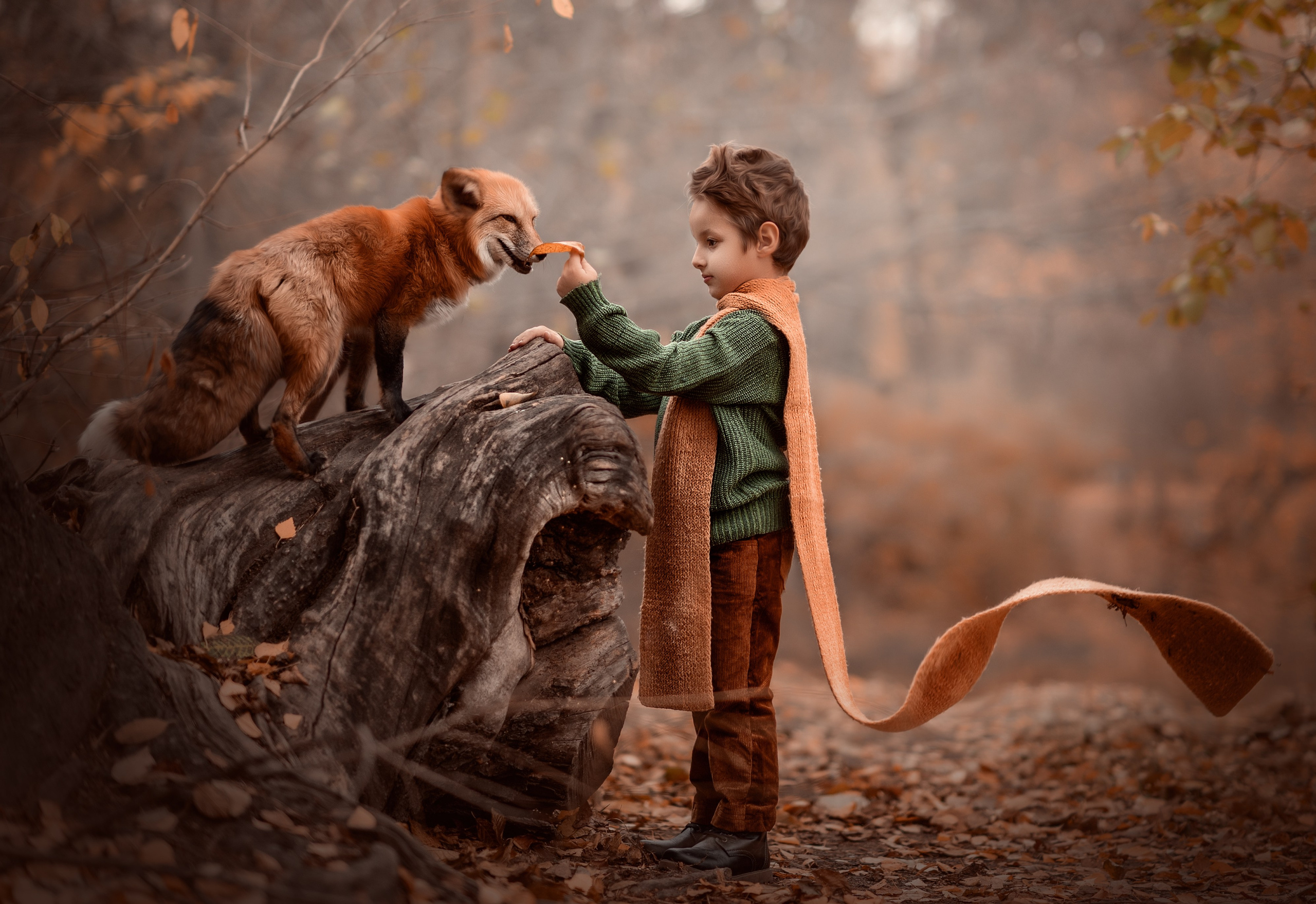 Лиса. Семейный фотограф Екатеринбург Лора Мур