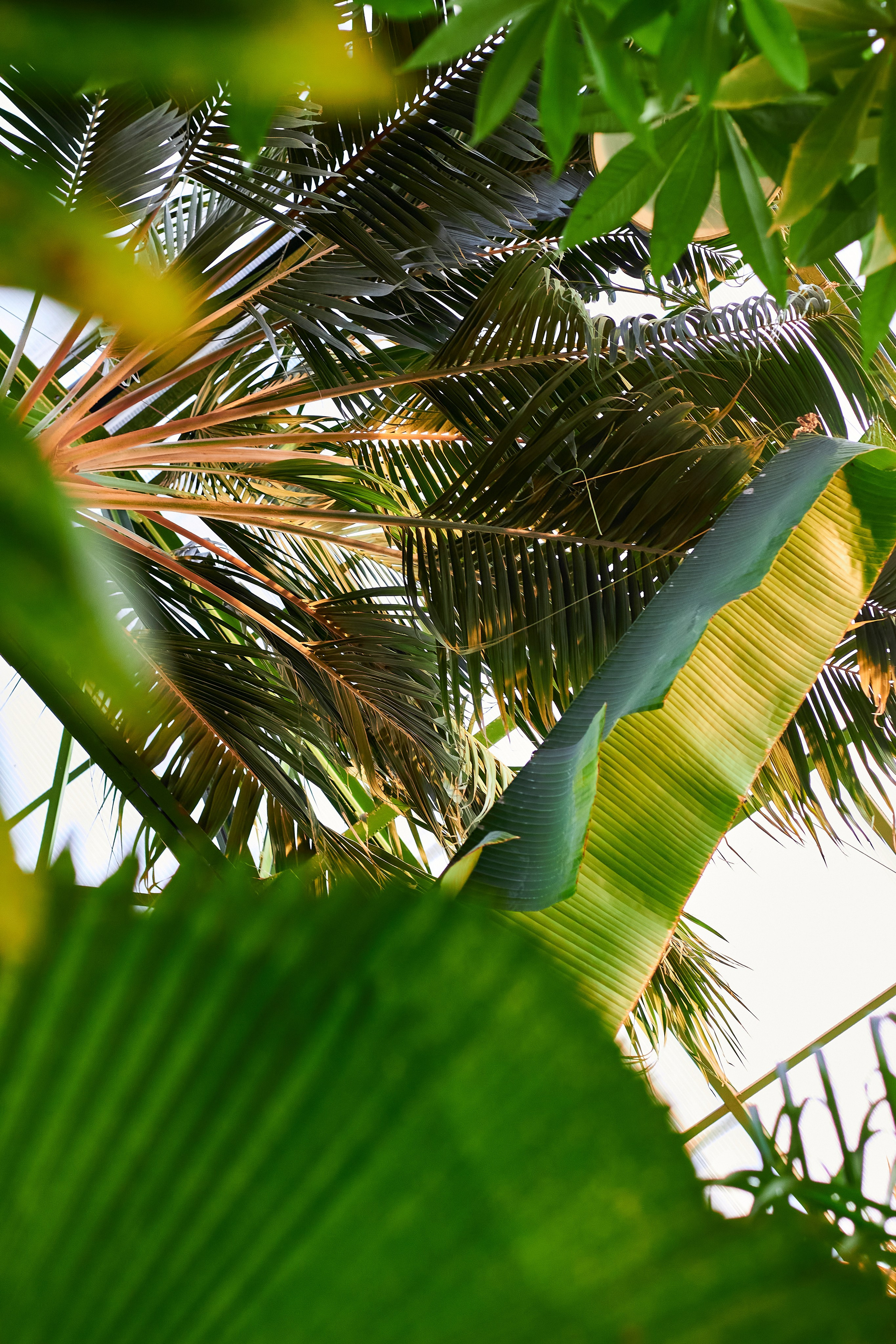 Ирина (Москва). Делла Т. — Женский и семейный фотограф в Липецке