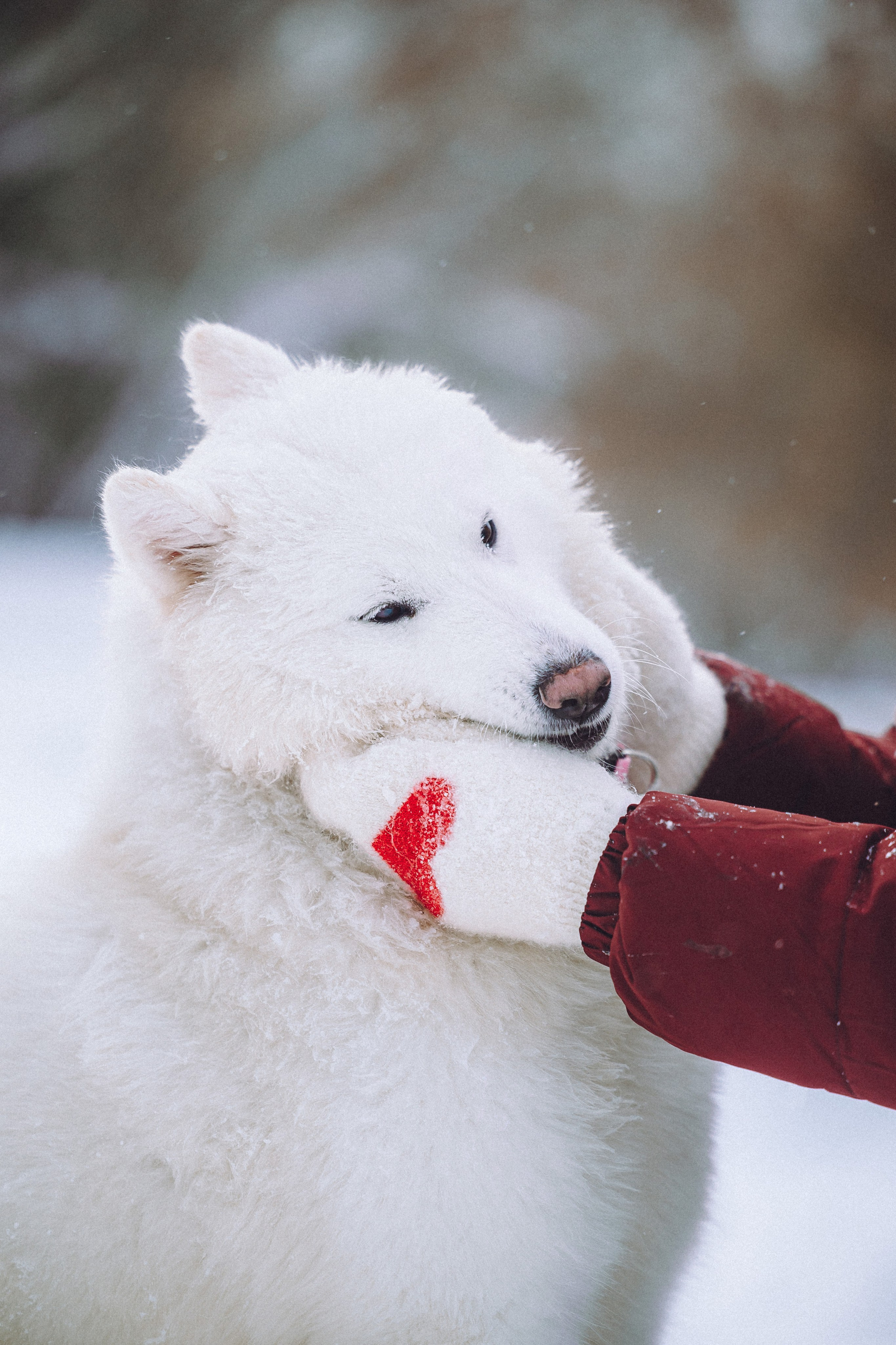 Мария и Мася