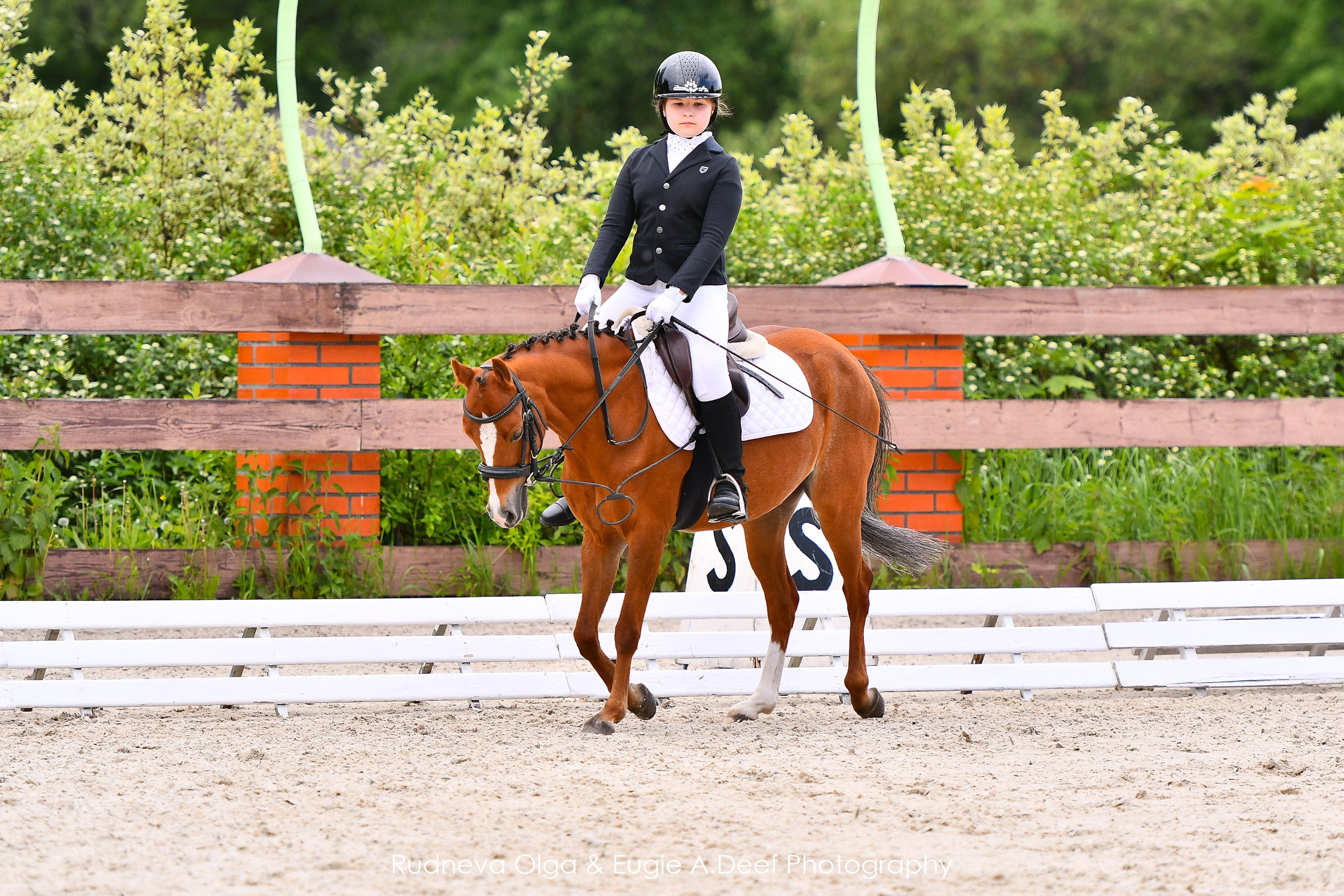 Турнир «Здравствуй, Лето!» Москва КониШкола «Олимпия» — май 2024. ТУРНИРНАЯ КОННАЯ ФОТОГРАФИЯ, Руднева Ольга и Евгений Адеев