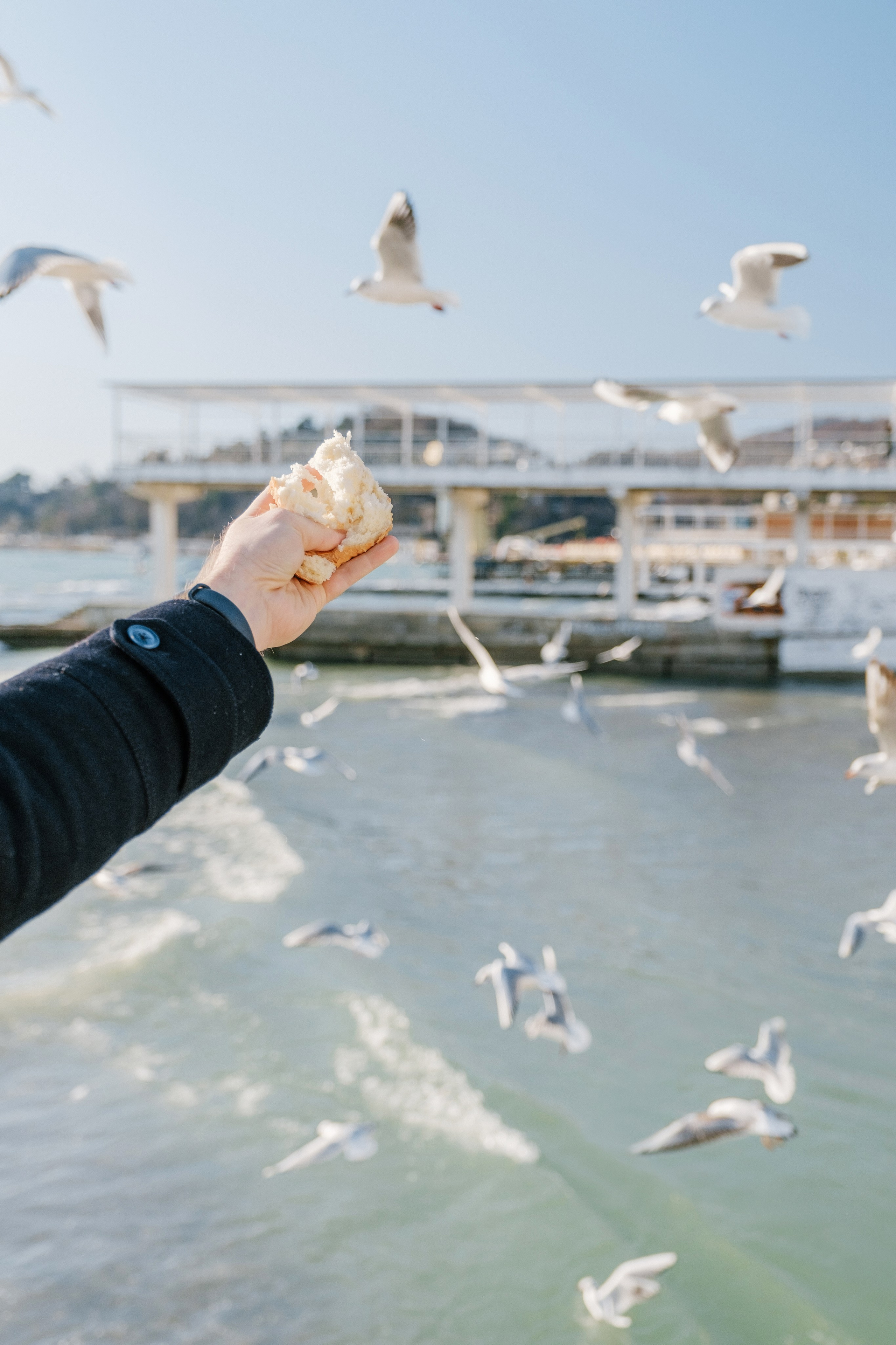 Хоста. Свадебный Видеограф Фотограф в Сочи