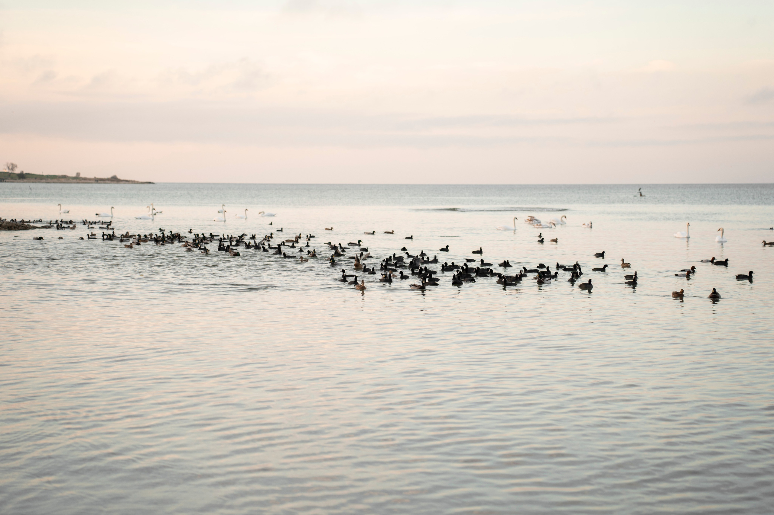 Ира с Мишей на Омеге. Фотограф Севастополь — Климова Анастасия
