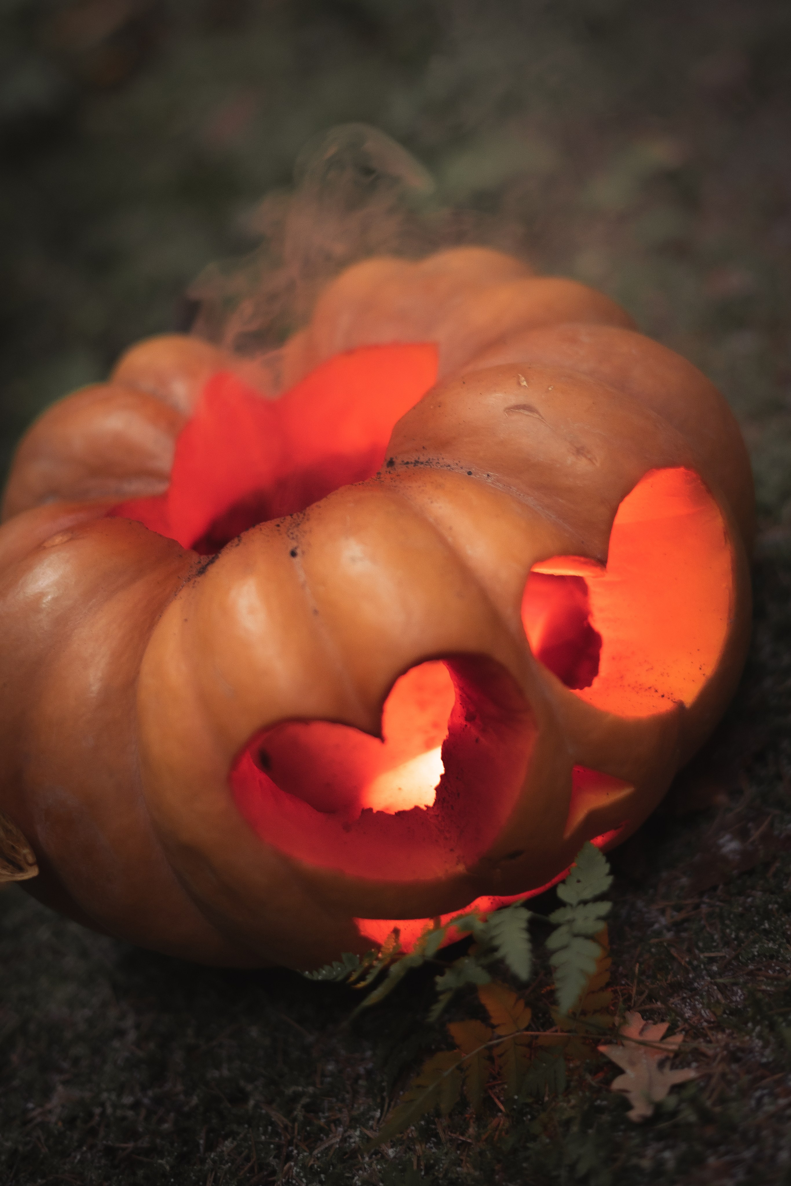 Елизавета Золотовская — репортажная съёмка. Иван Кубик — фотограф и видеограф