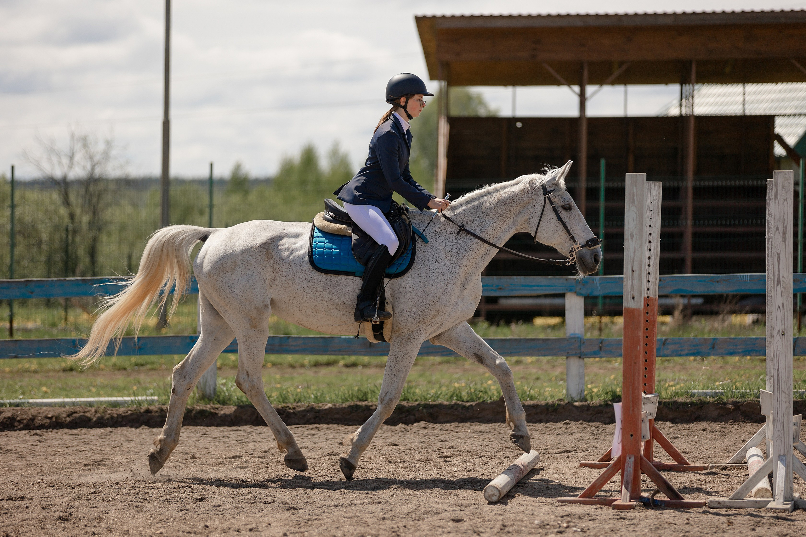 Соревнования по конному спорту. Конный фотограф Валынкина Лера