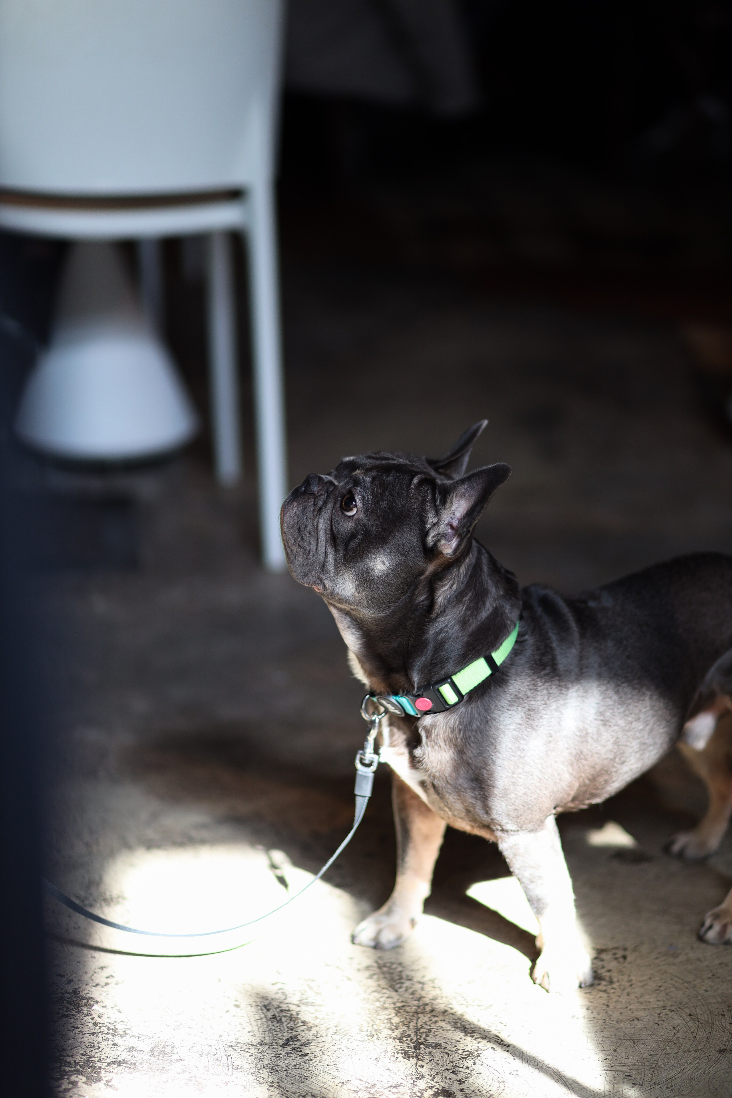 Gastrodvor 8 March. Дженбаз Павел — фотограф в Ялте