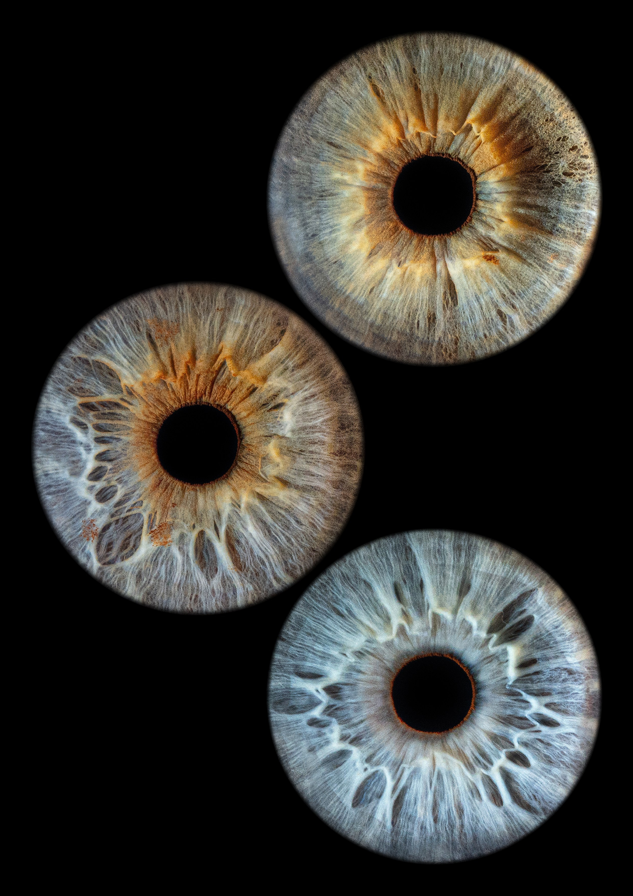 Примеры работ. Мой глаз