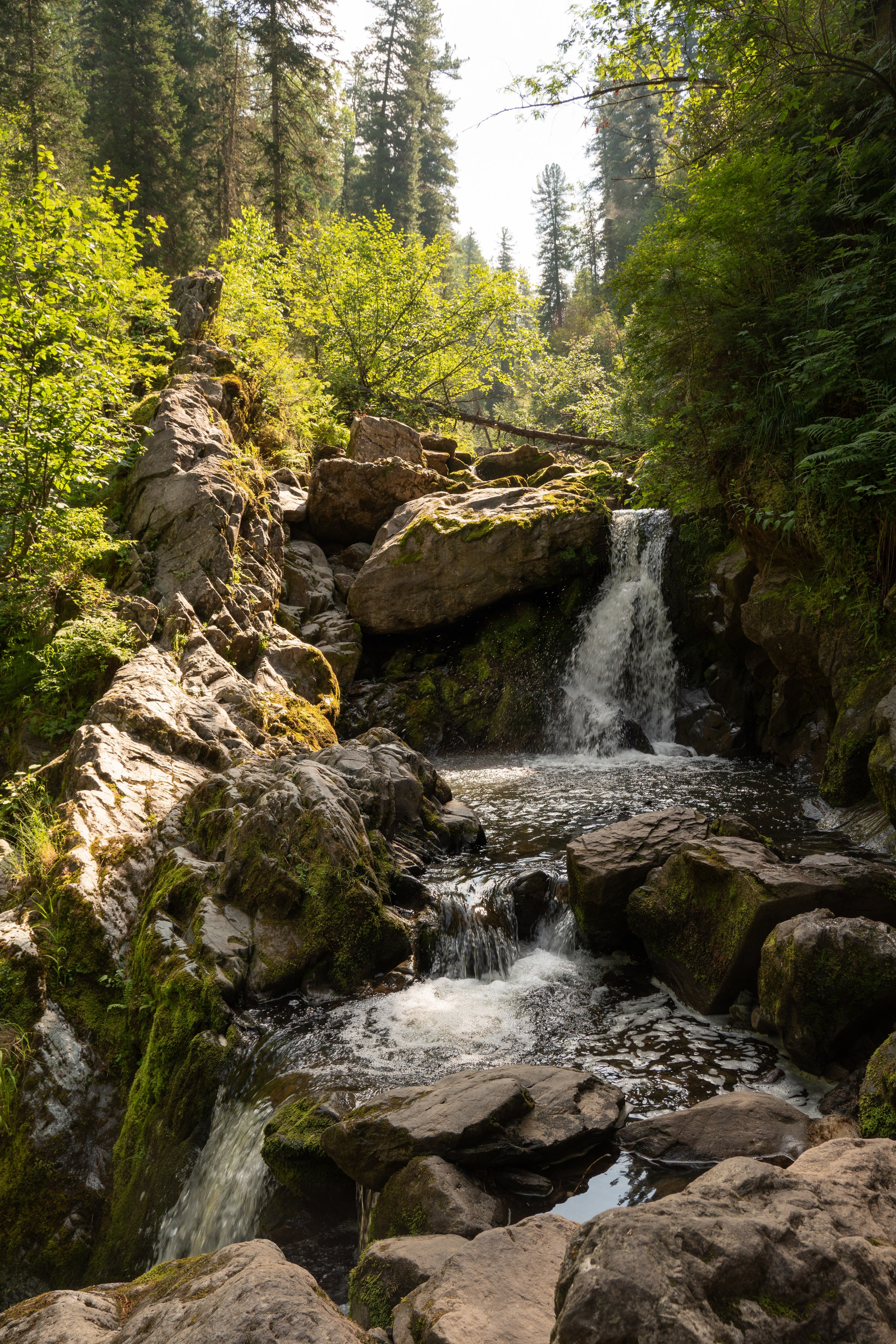 Алтай. Gusarov Travel Photography