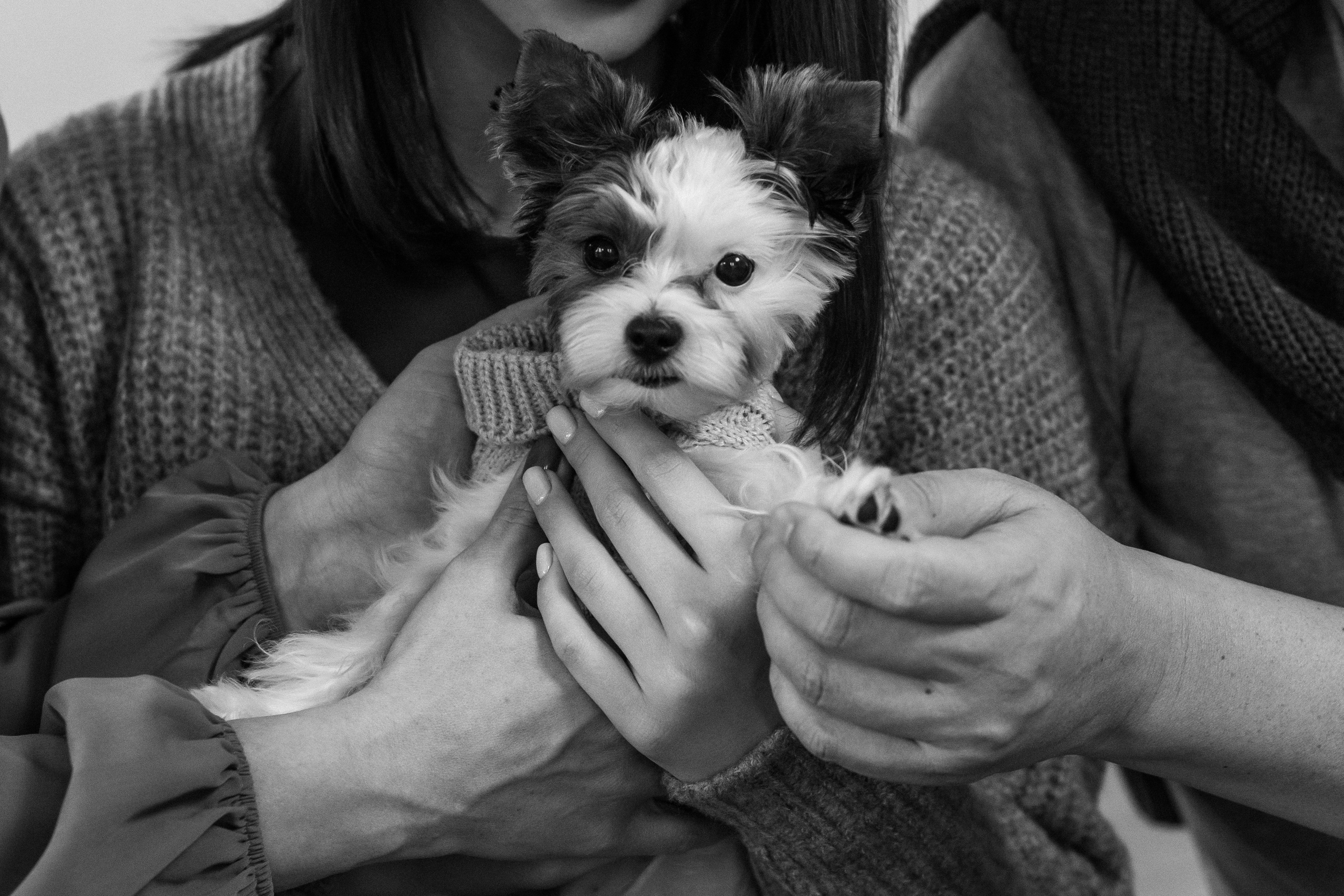 Новогодняя семейная фотосессия. Семейный и детский фотограф Кущ Наташа