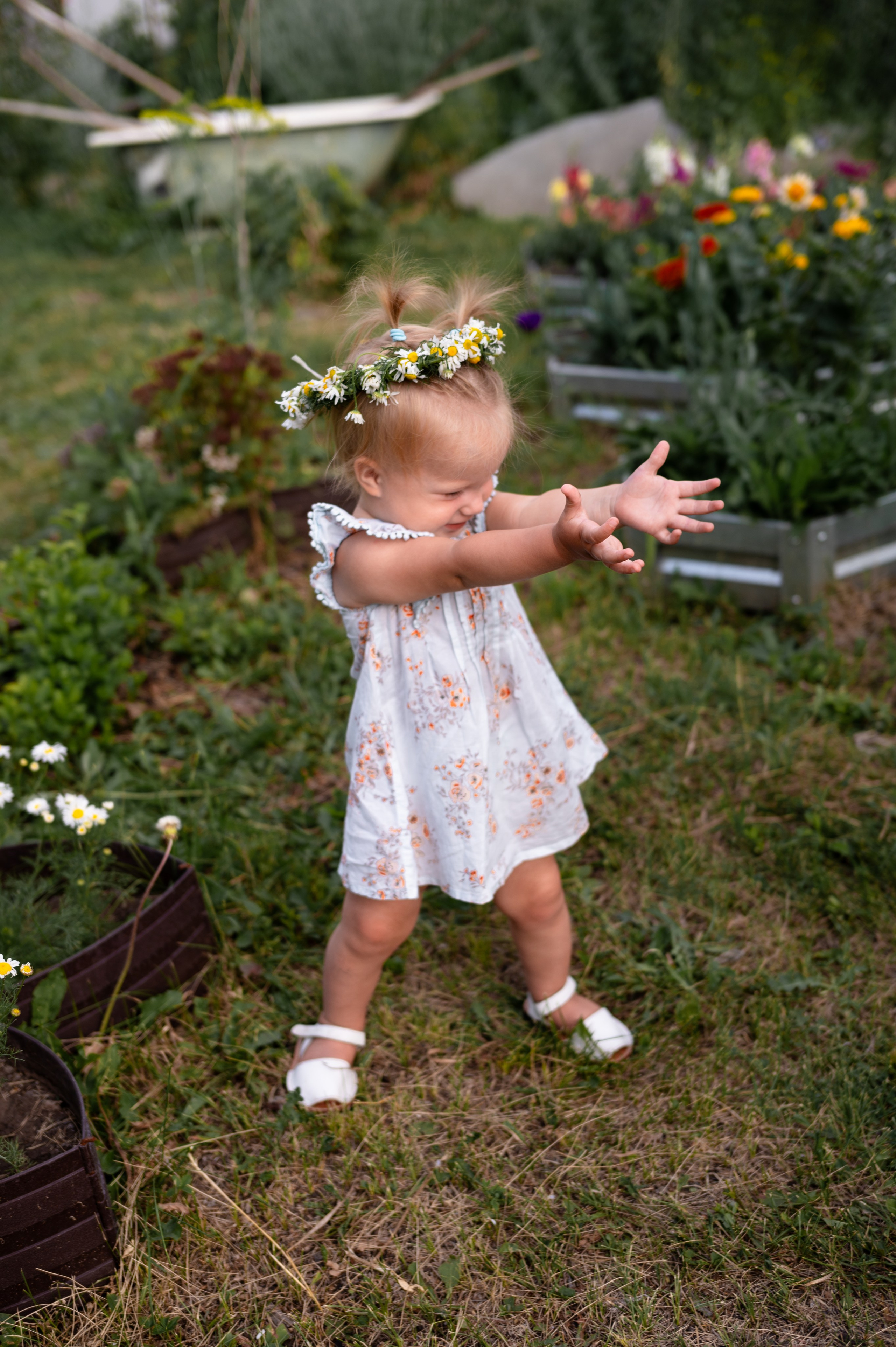 Ромашки и утята. Главная