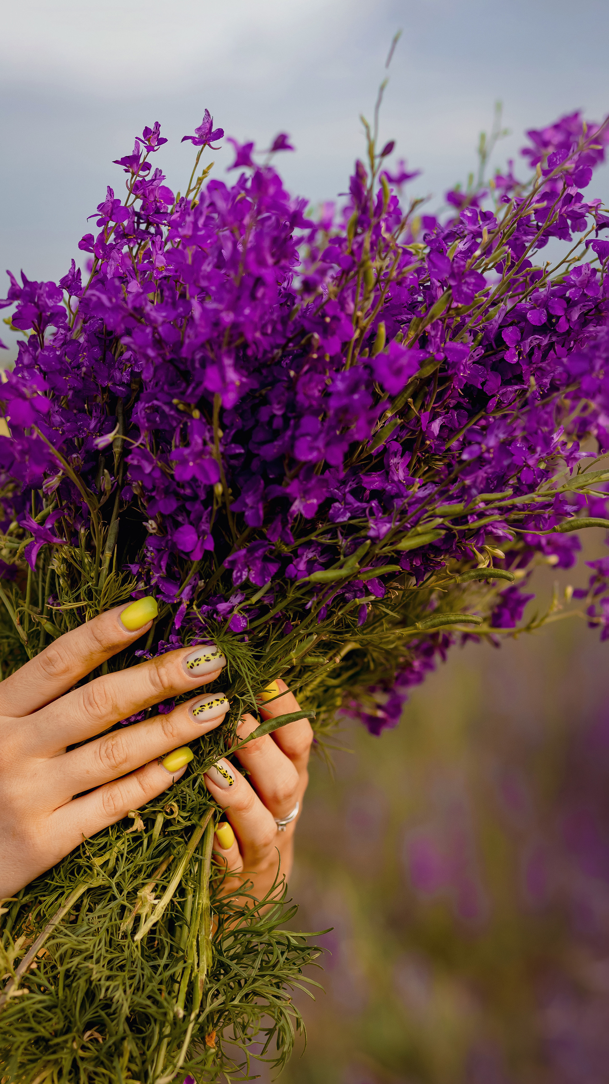 Алеся с дочами в поле. Свадебный и семейный фотограф в Каспийске Алёна Нурмагомедова