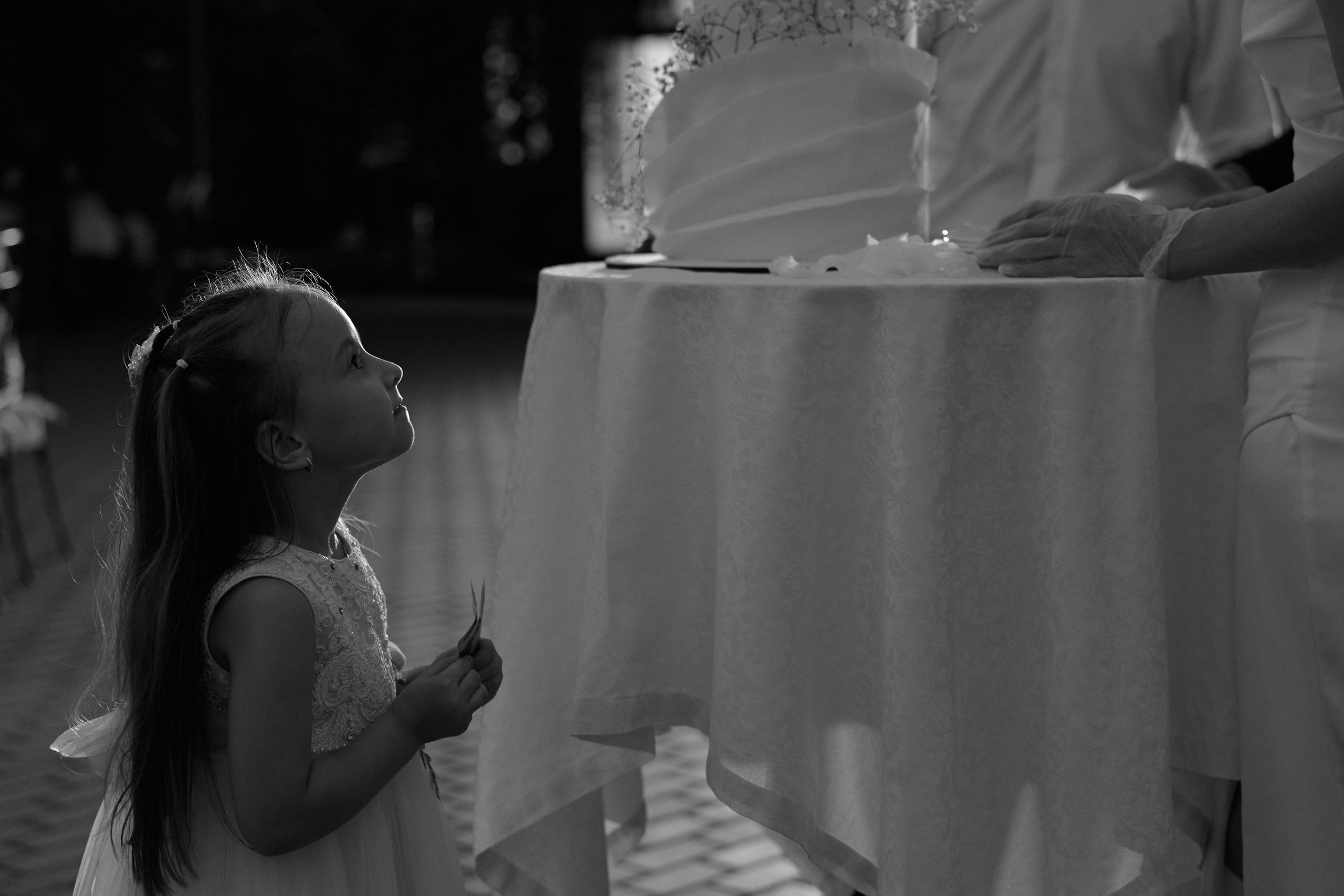 Виктор & Алена. Свадебный фотограф Кристина Вениченко