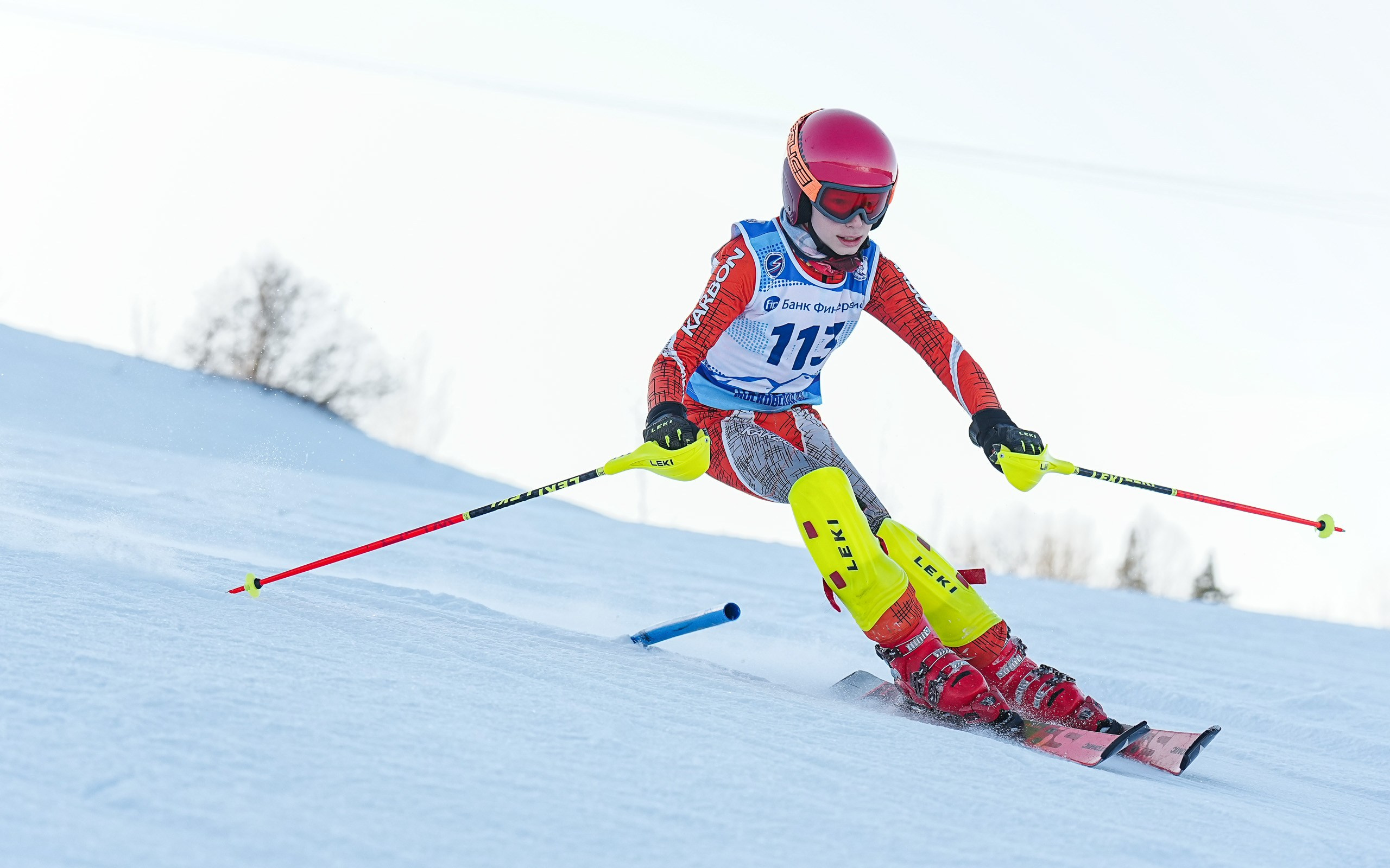 SL (Slalom) - Слалом. Соревнования по горнолыжному спорту. Московская область, Шуколово